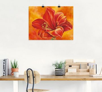 Artland Wandbild Amaryllis, Blumen (1 St), als Leinwandbild, Poster in verschied. Größen