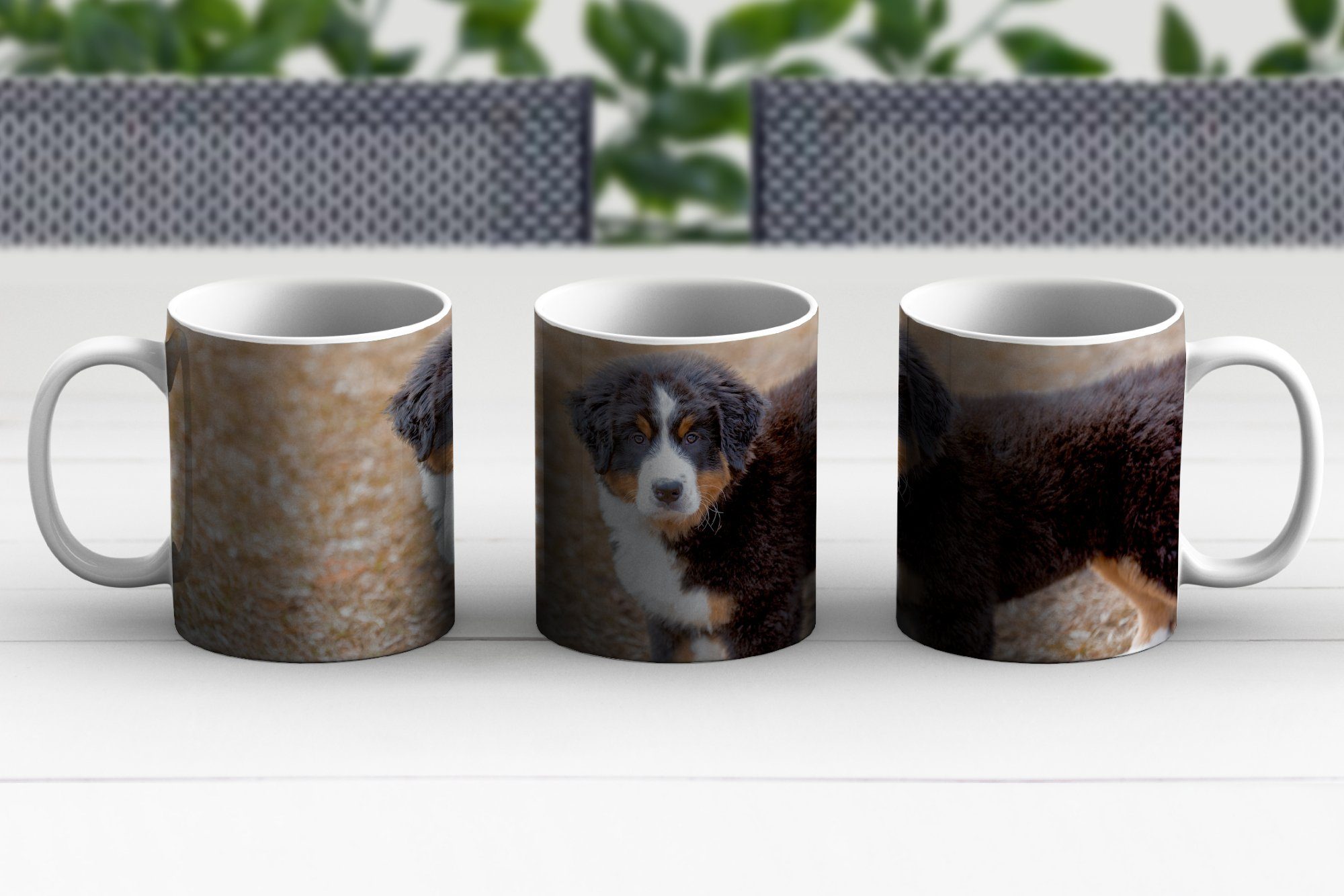 Becher, Morgen, Berner Geschenk Sennenhund Kaffeetassen, Tasse MuchoWow Welpe am Keramik, Teetasse, Teetasse,