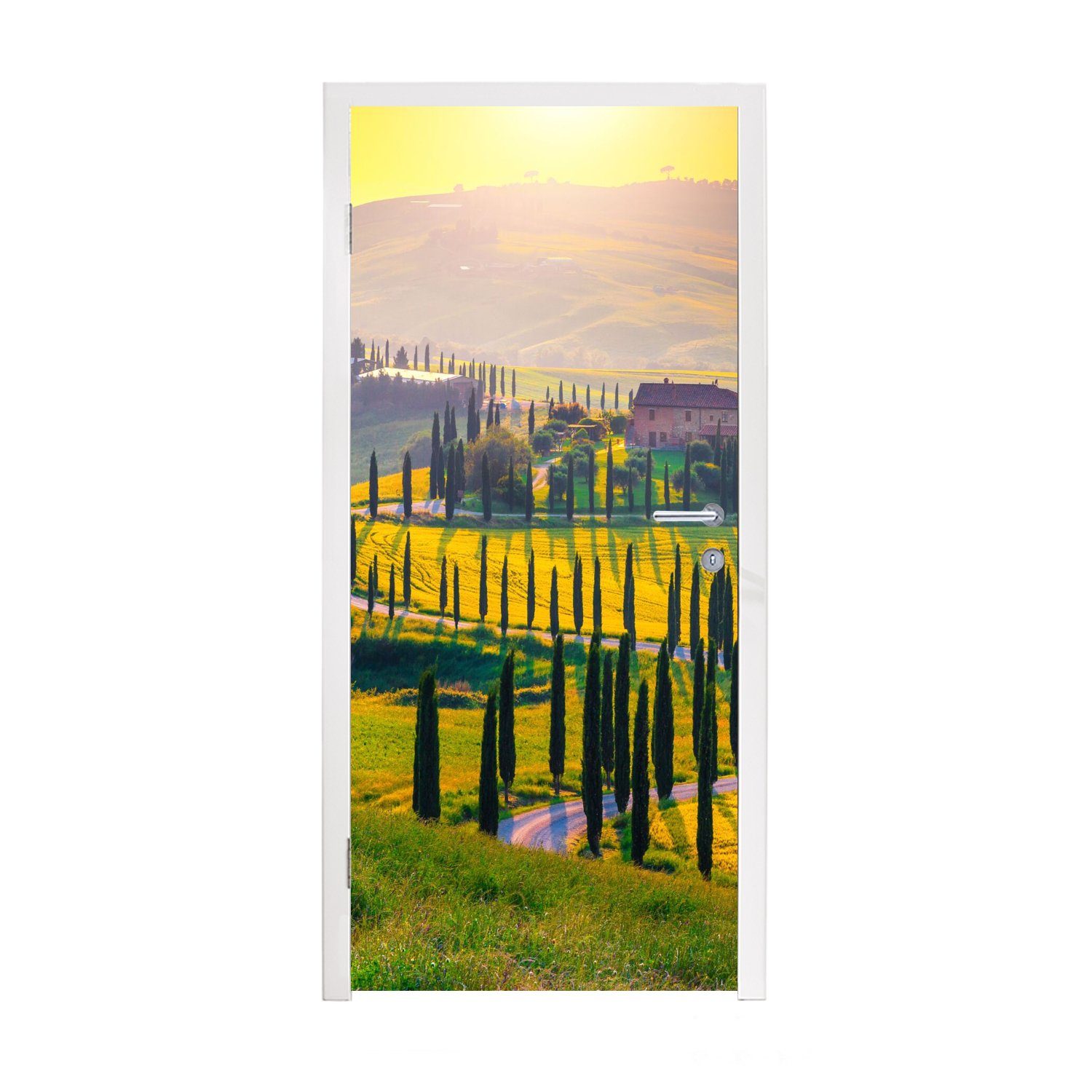 MuchoWow Türtapete Gras - Sonne - Hügel - Landschaft, Matt, bedruckt, (1 St), Fototapete für Tür, Türaufkleber, 75x205 cm