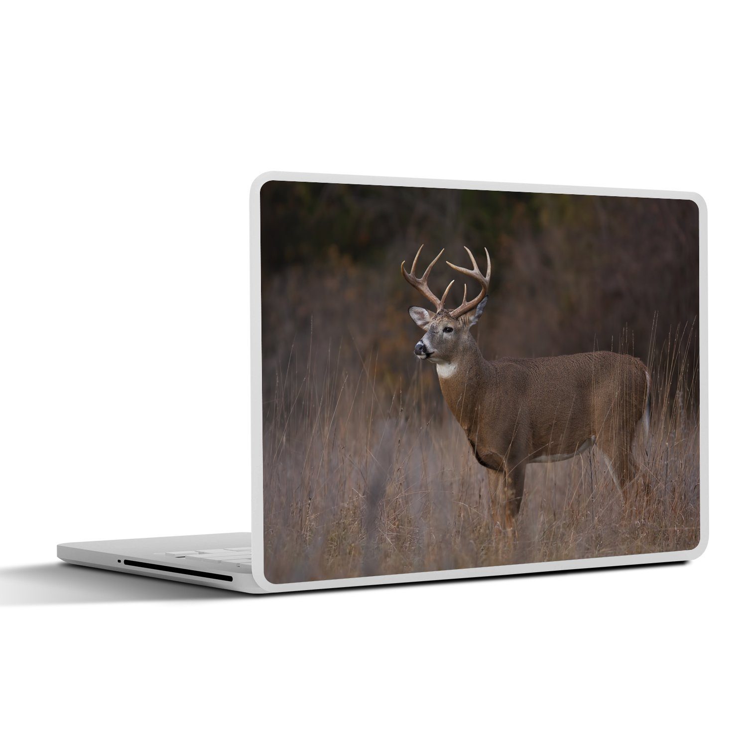 MuchoWow Laptop-Aufkleber Herbst - Hirsche - Gras - Natur - Tiere, (1tlg), Laptop Folien Cover, Aufkleber, Sticker, Schutz vor Kratzern, 25x18 cm