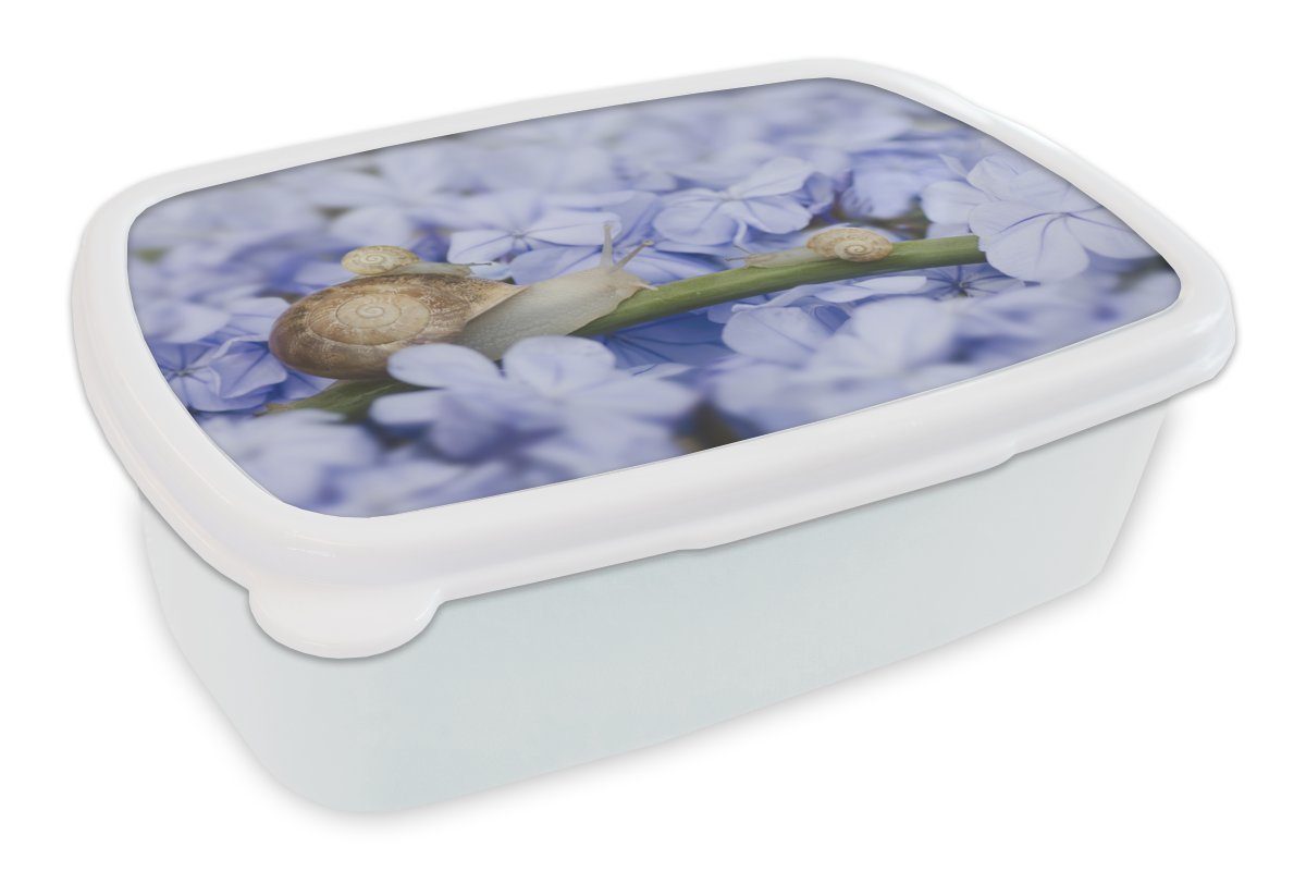 Blumen Kinder Brotbox - MuchoWow für und Erwachsene, für weiß Lunchbox - Brotdose, Jungs Schnecke und Kunststoff, Tiere, (2-tlg), Mädchen