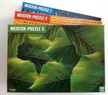 puls entertainment Puzzle Meister-Puzzle 3: Blätter, 500 Puzzleteile