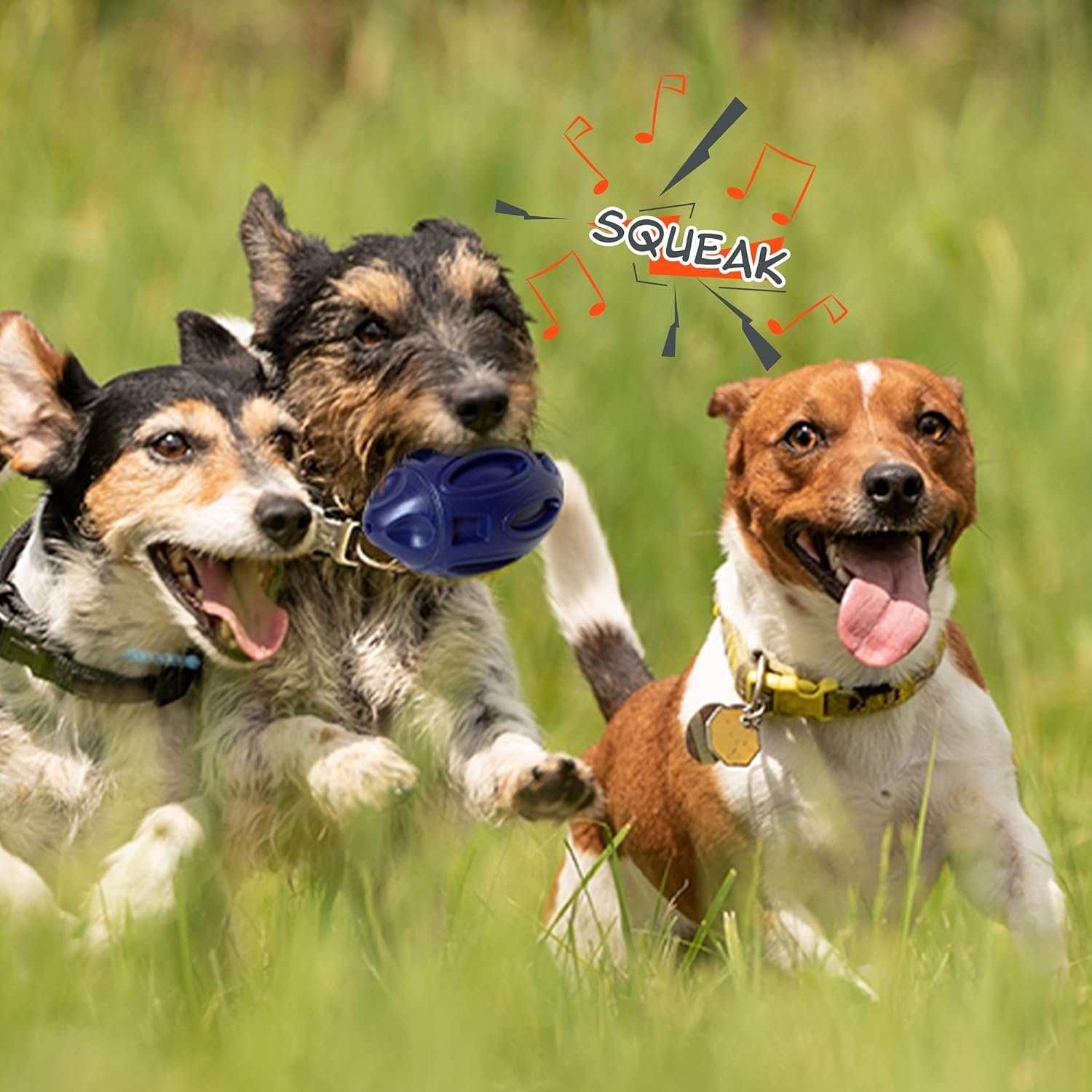Petsation Kauspielzeug Hundespielzeug zum Werfen [PREMIUM] NATURKautschuk - Kauspielzeug
