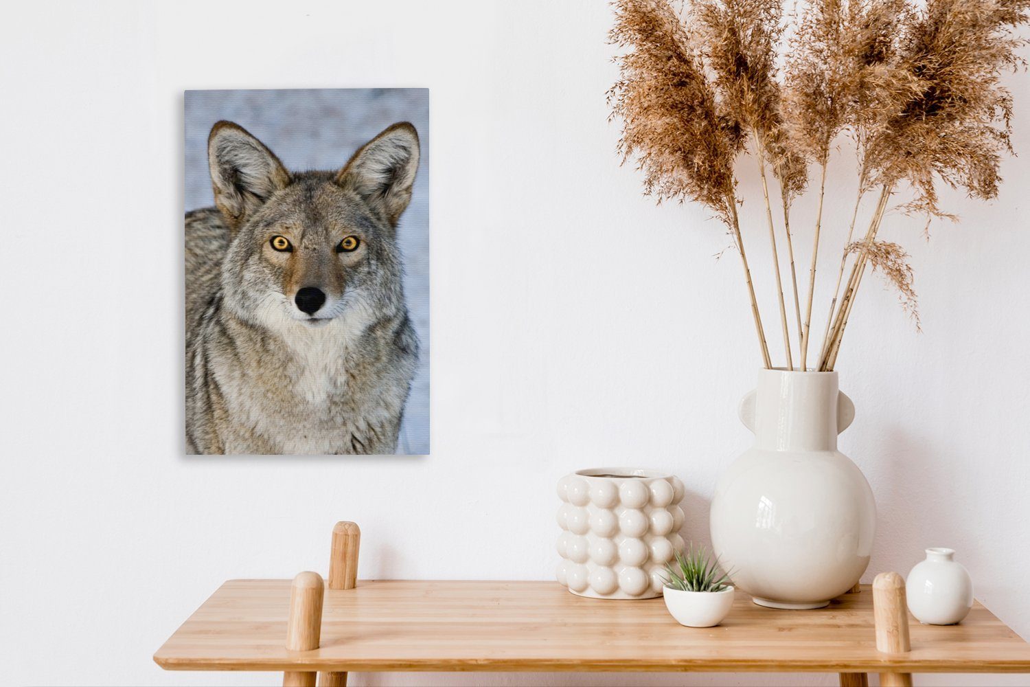 bespannt Blick, intensivem Nahaufnahme Kojoten 20x30 Gemälde, inkl. (1 St), fertig cm Leinwandbild mit eines Zackenaufhänger, OneMillionCanvasses® Leinwandbild