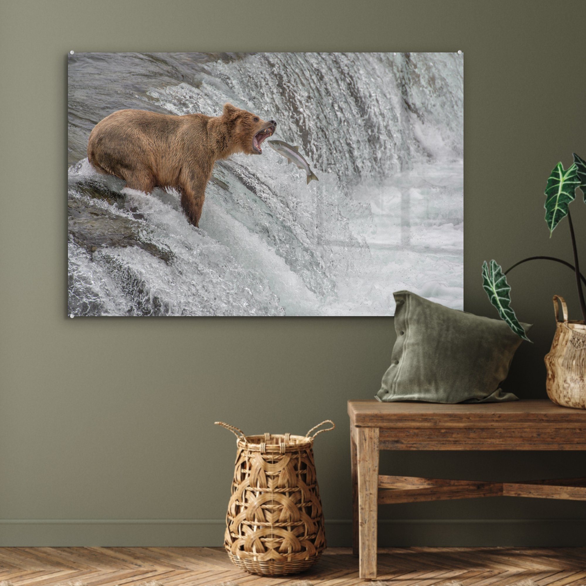 & eines der Wohnzimmer Acrylglasbilder Acrylglasbild Grizzlybären, in vi, ein (1 sich St), MuchoWow Schlafzimmer Bild