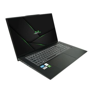 JodaBook F17 Pro, fertig eingerichtetes Notebook (Intel Core i5 1340P, Iris Xe Graphics, 500 GB SSD, #mit Funkmaus +Notebooktasche)