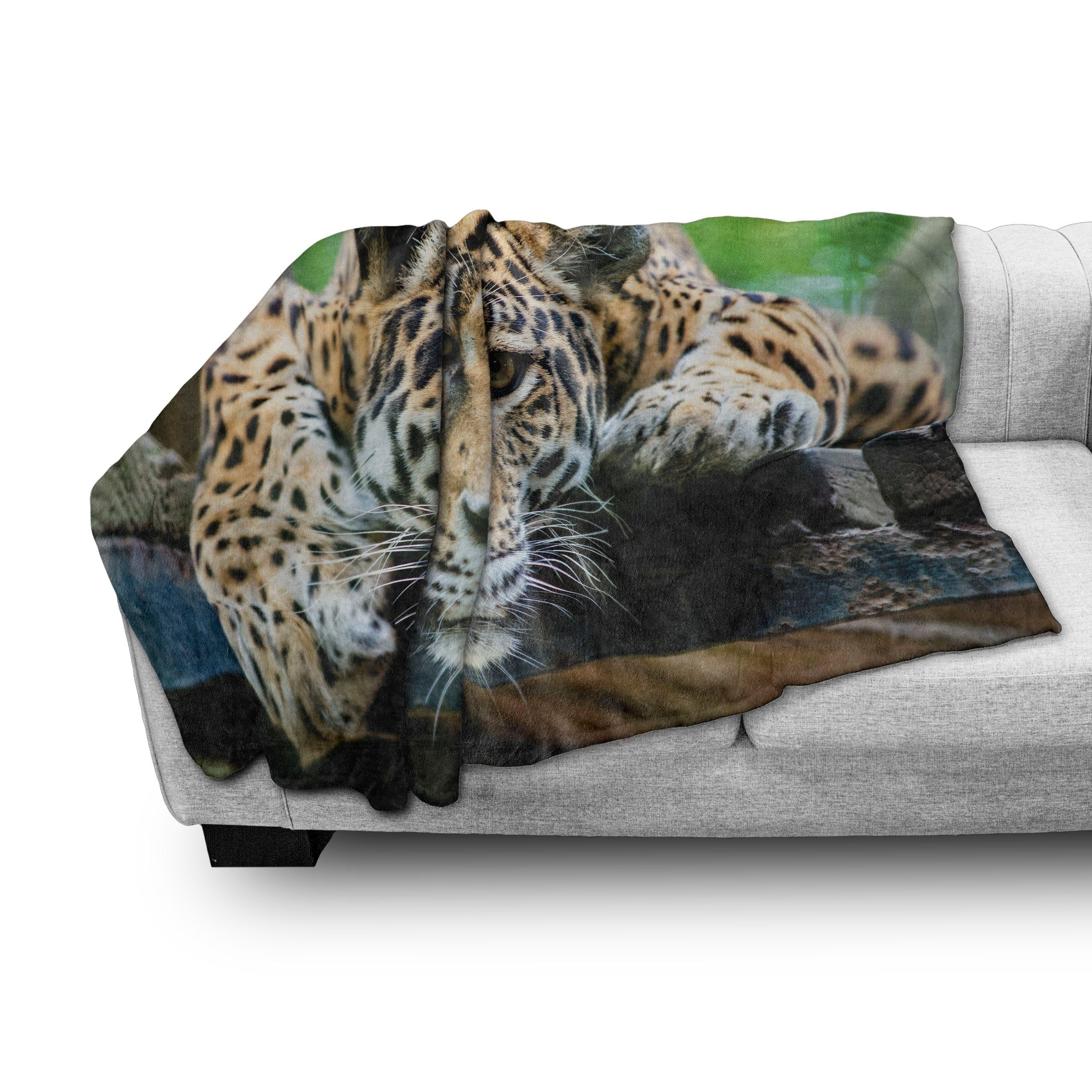 Abakuhaus, Außenbereich, Jaguar Innen- Feline Jaguar den Wildcat Gemütlicher Plüsch Wohndecke für und