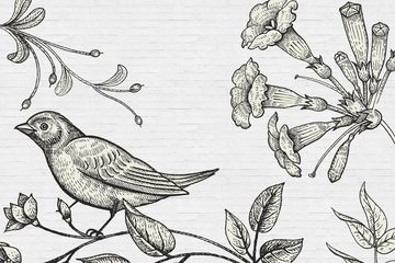 A.S. Création Leinwandbild birdy 3, (1 St), Schwarz-Weiß Zeichnung Floral Keilrahmen Bild