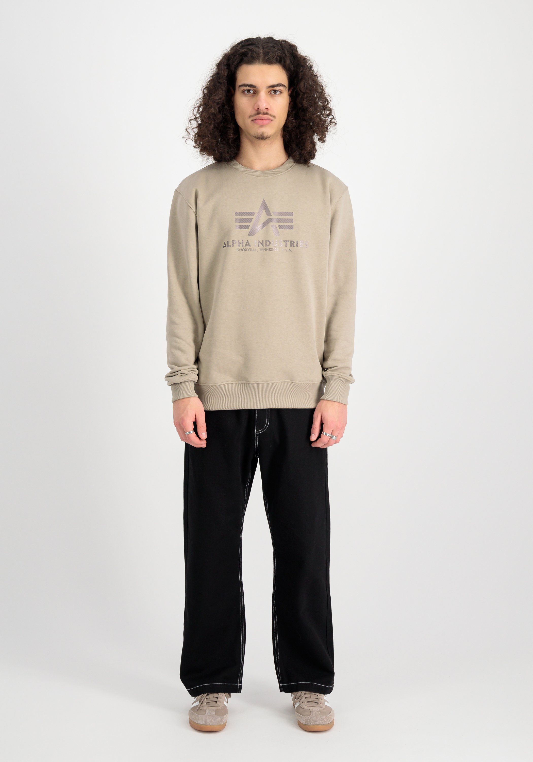 Alpha Industries Sweater Basic Sweatshirt Carbon günstig online kaufen