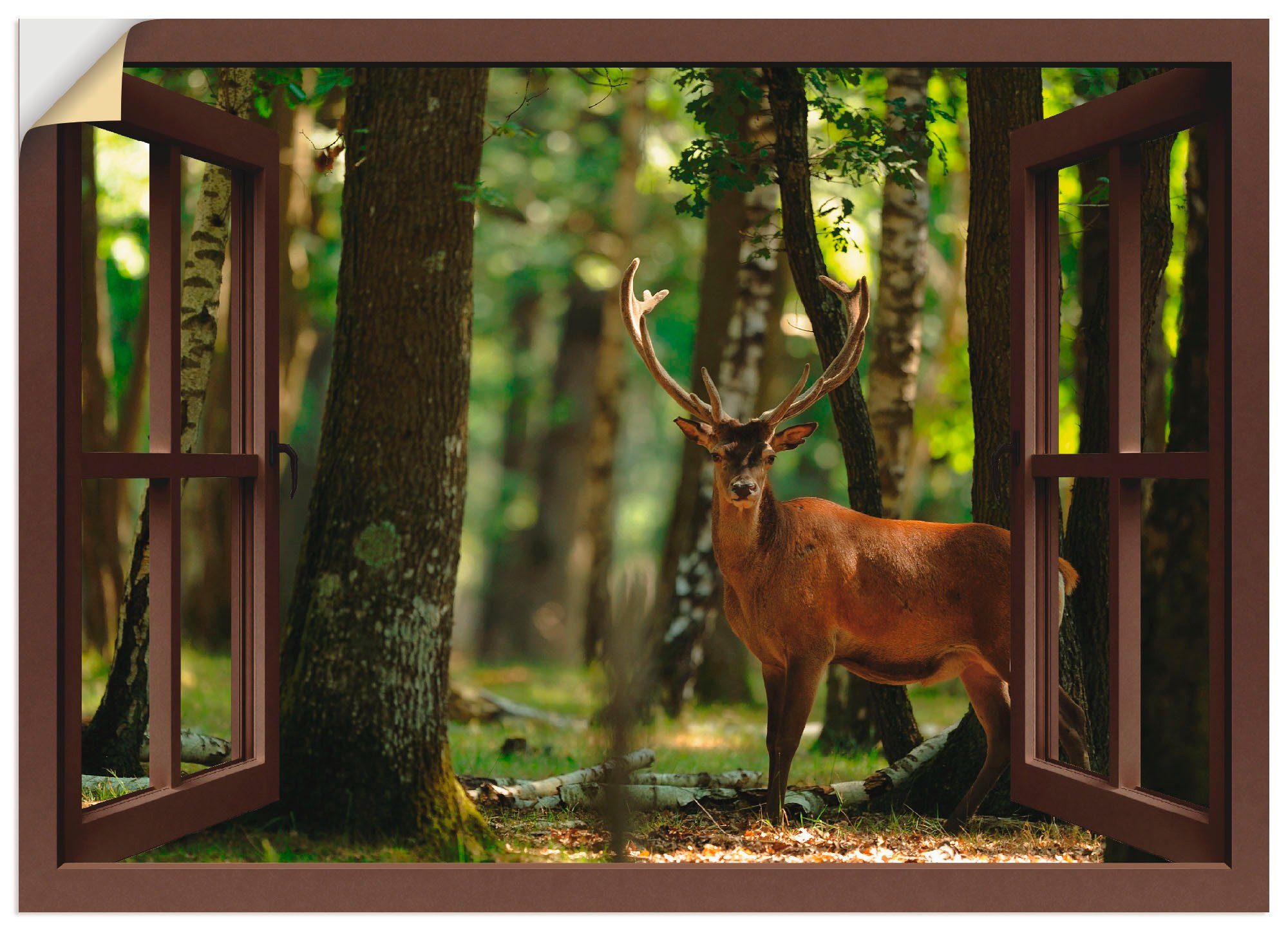 Artland Wandbild Fensterblick - Hirsch 4 - Wald, Fensterblick (1 St), als Leinwandbild, Wandaufkleber oder Poster in versch. Größen