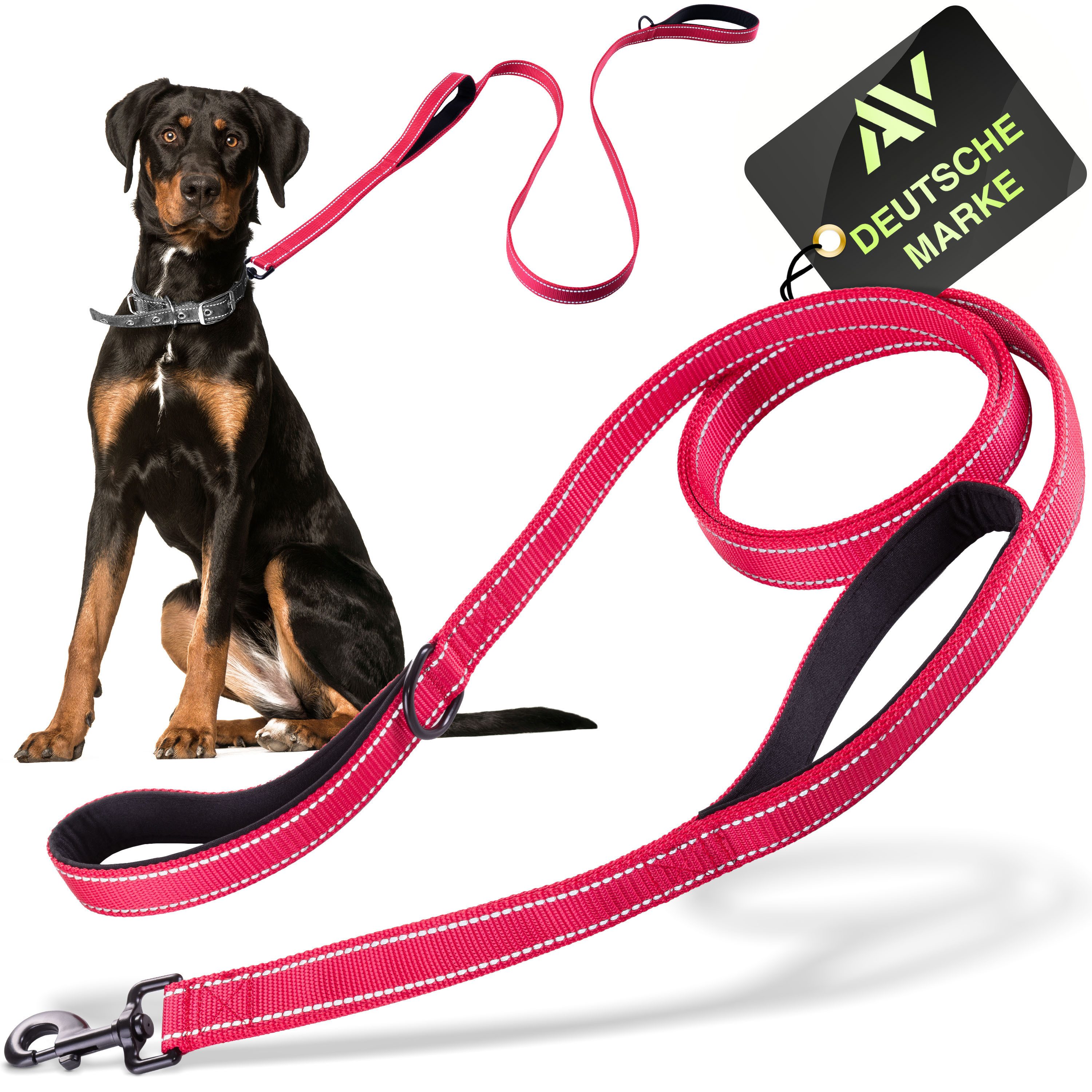 AVANA Hundeleine reflektierende Führleine integrierter Kurzführer 1,5 Meter lange Leine, Nylon, 2 gepolsterte Handschlaufen, für große und mittelgroße Hunde
