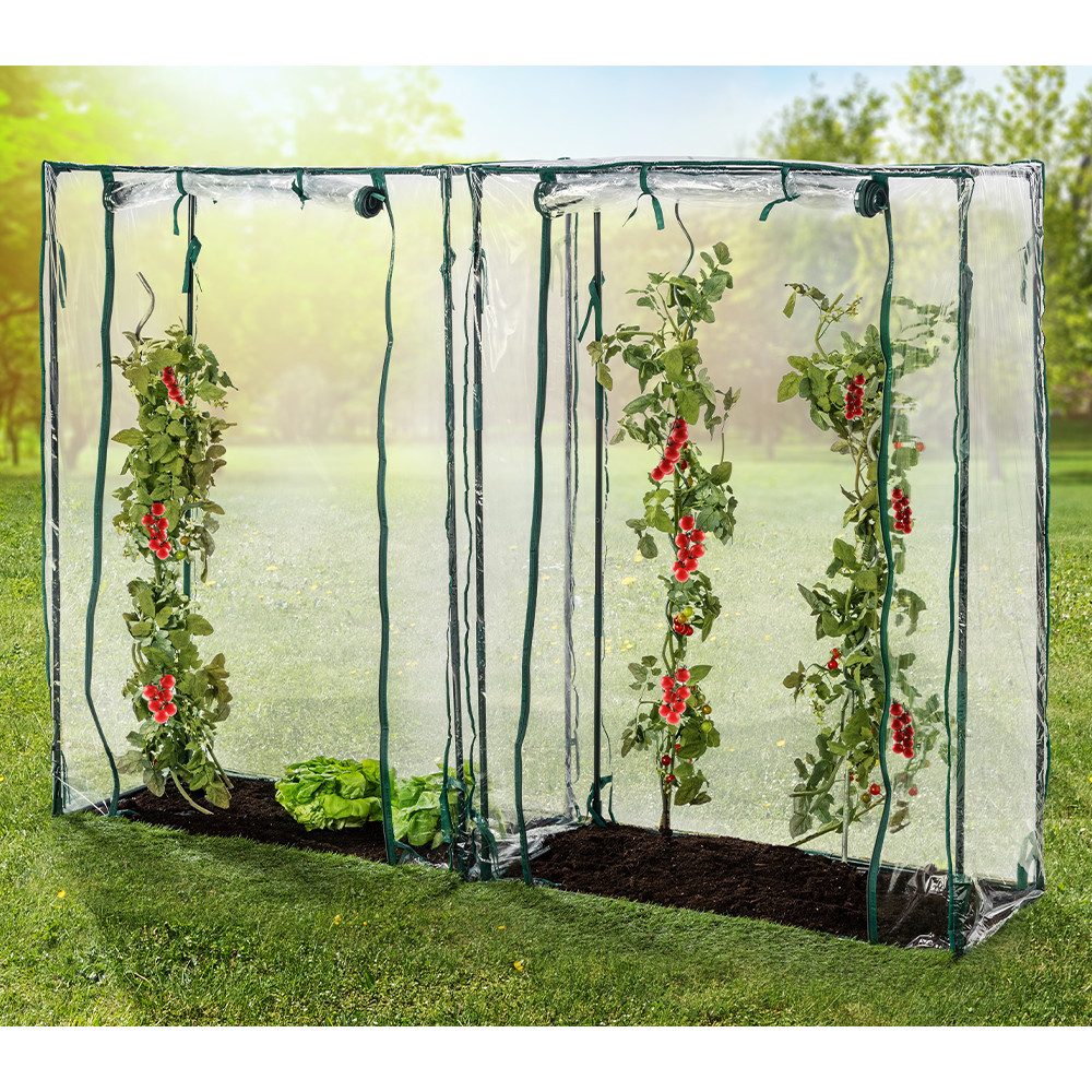 Green Yard Tomatengewächshaus Tomatengewächshäuser, ca.150 x 100 x 50 cm – 2 Stück, 2er Set  | Rabatt: 31%