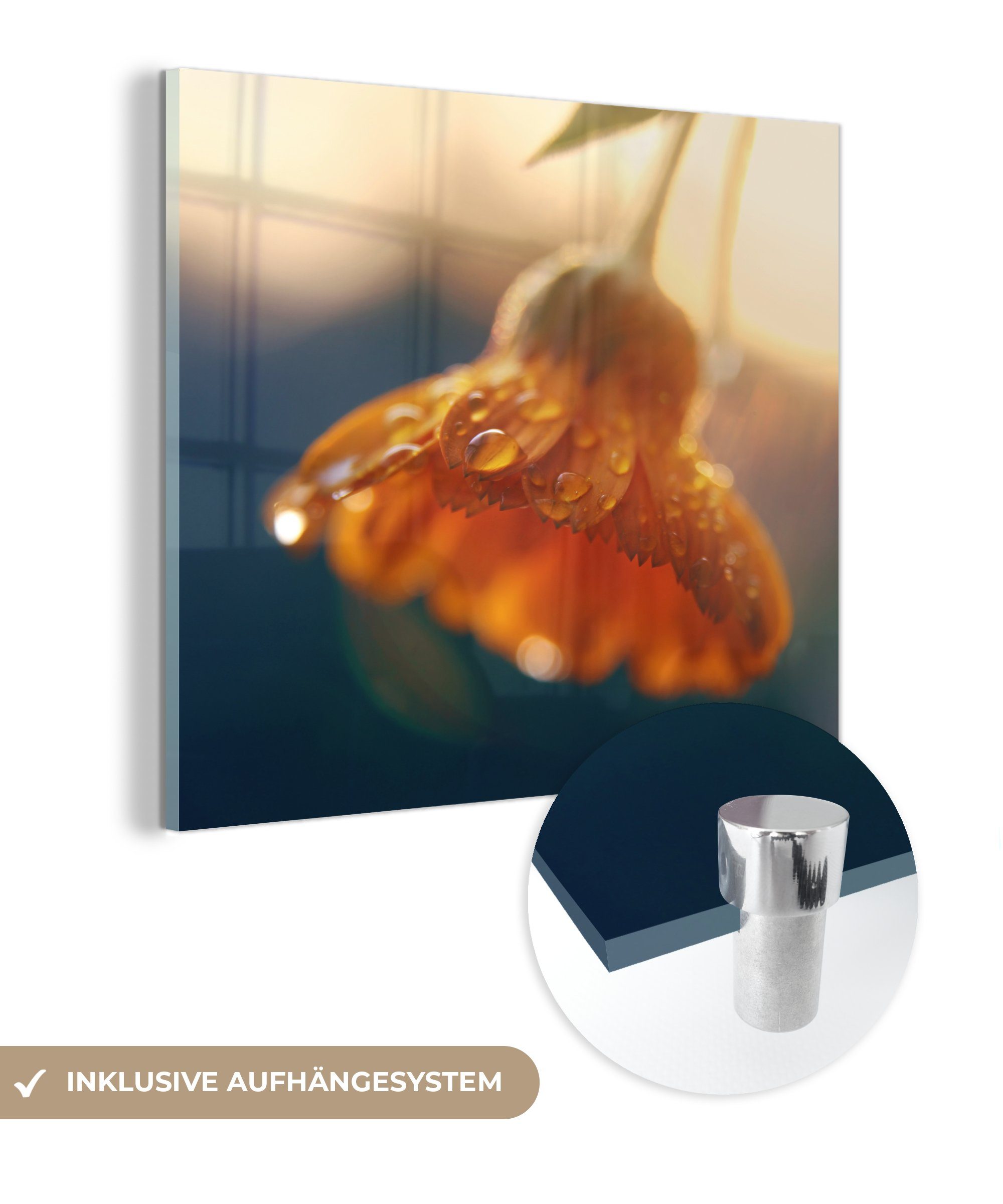 MuchoWow Acrylglasbild Ringelblume mit Wassertropfen, (1 St), Glasbilder - Bilder auf Glas Wandbild - Foto auf Glas - Wanddekoration