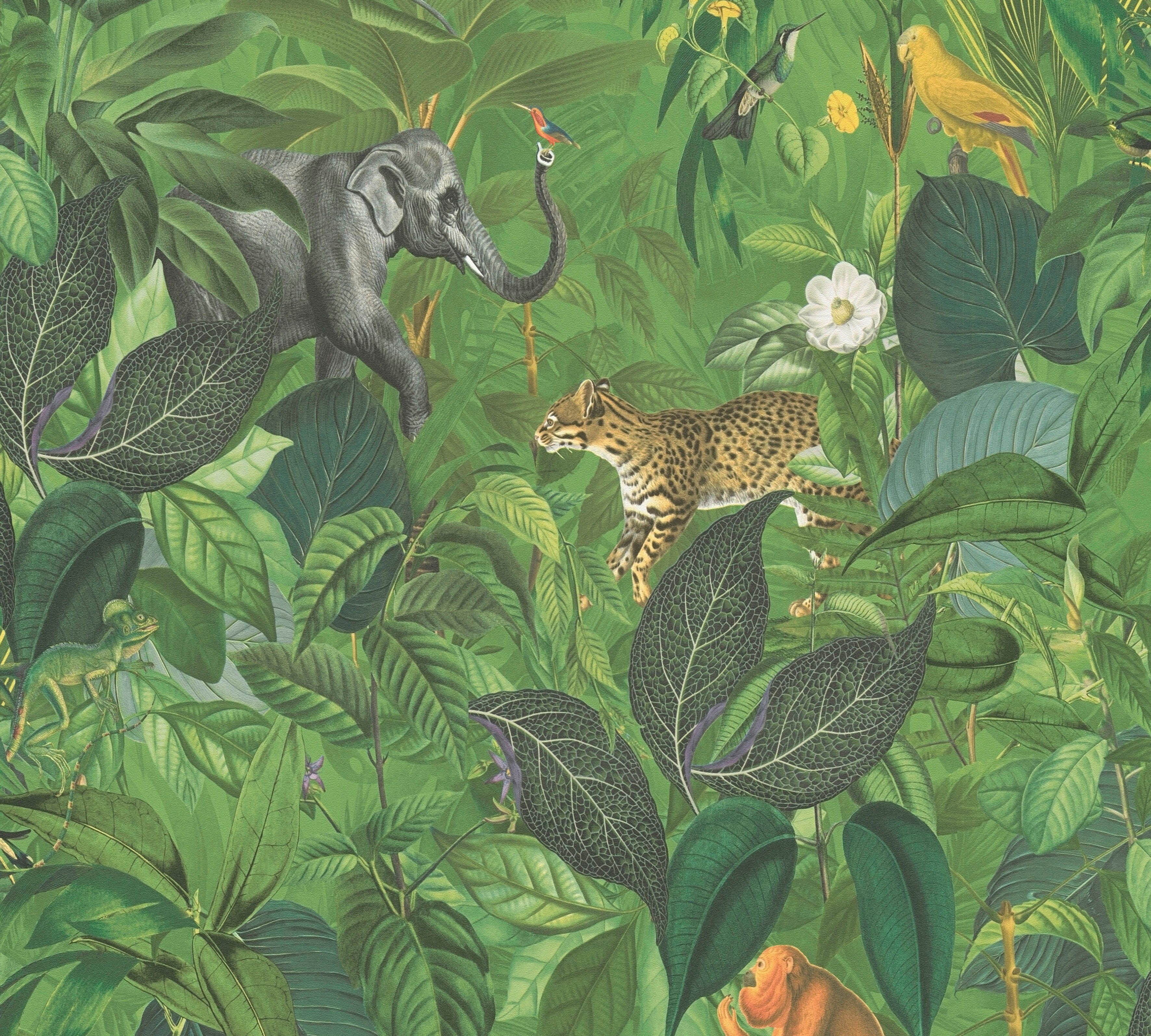 mit St), (1 A.S. Création Elefant Dschungel glatt, Affen Tieger Vliestapete Blätter grün/braun/grau matt, Tieren, PintWalls