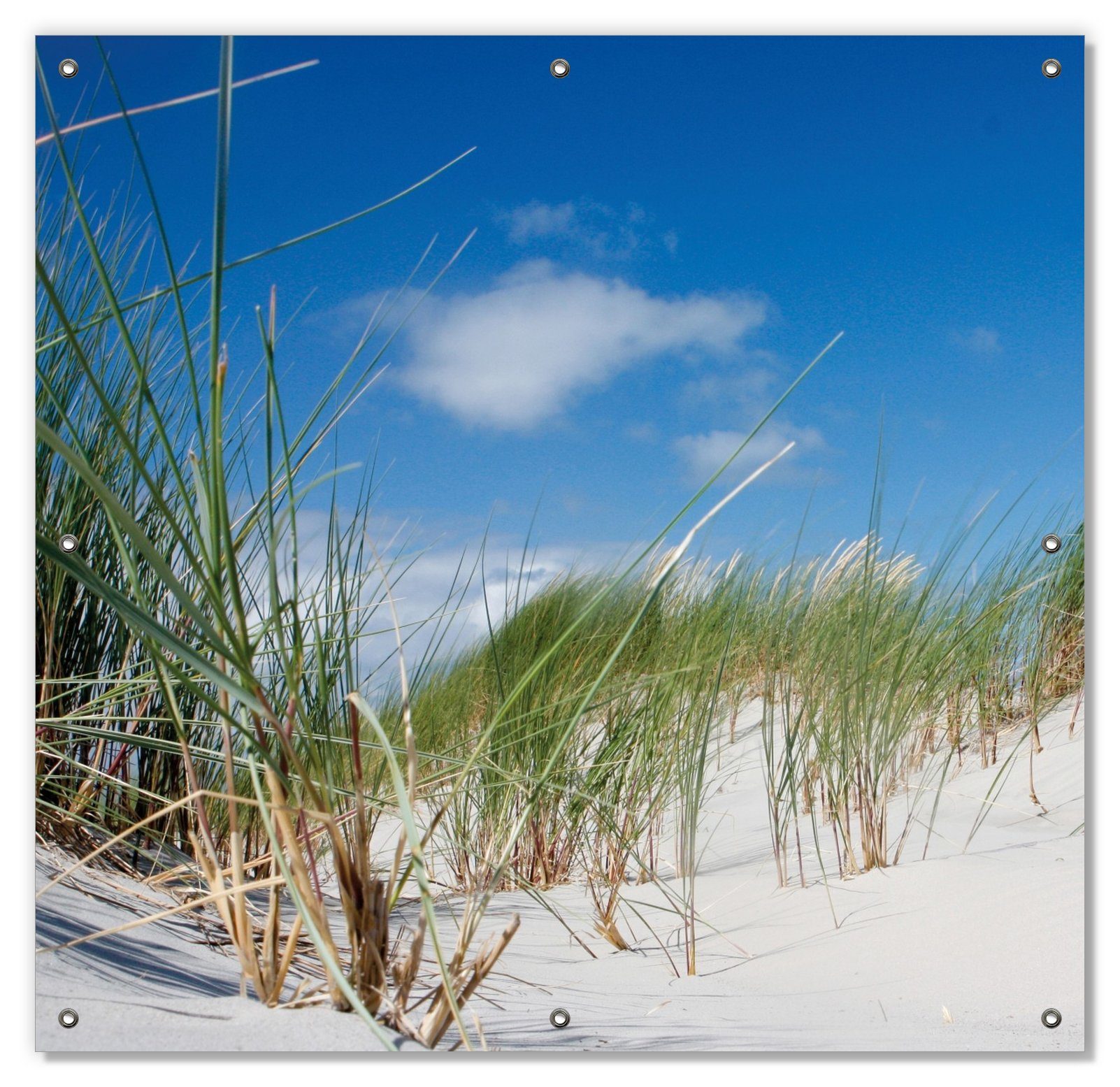Sonnenschutz Düne am Strand unter blauem Himmel, Wallario, blickdicht, mit Saugnäpfen, wiederablösbar und wiederverwendbar