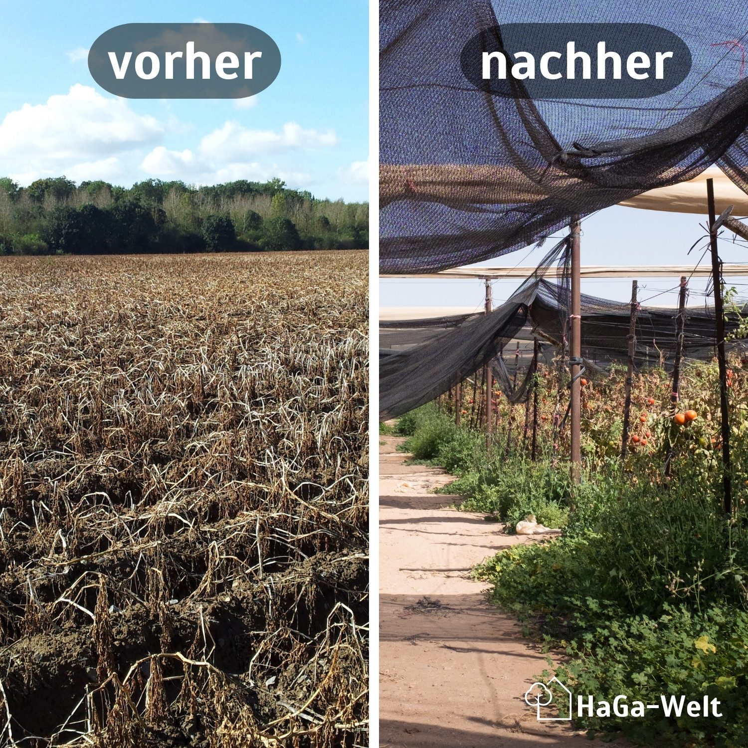 HaGa Schutznetz SCHATTIERNETZ 40% 1m x 100m Sonnenschutznetz, BxL: 1x100 m, (Gewebegewicht ca. 42 g/m², 40 % Schattierwirkung, Hohe), Sichtschutznetz, Abdecknetz, Multifunktionelles UV-stabilisiertes