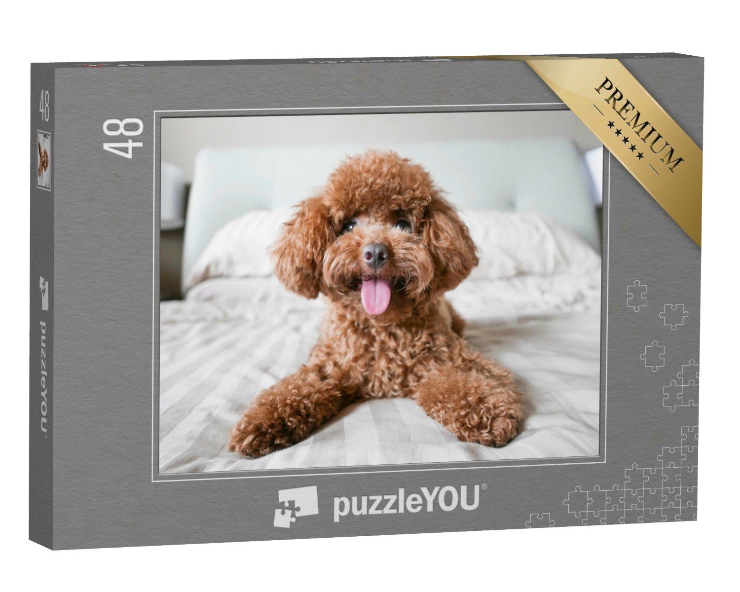 puzzleYOU Puzzle Niedlicher Toy-Pudel auf dem Bett, 48 Puzzleteile, puzzleYOU-Kollektionen Pudel