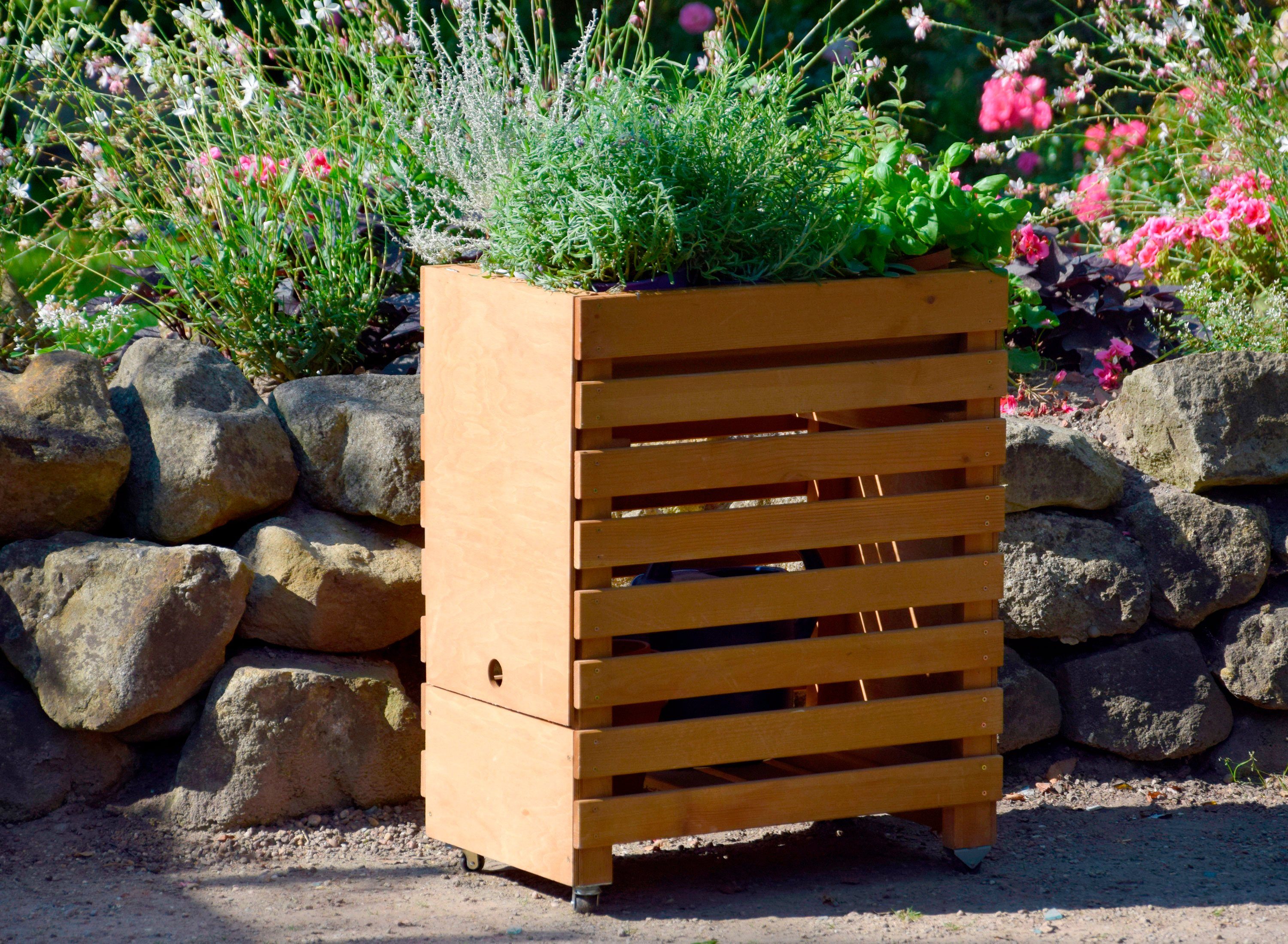dobar Hochbeet »Gr. M«, BxTxH 58x36x71 cm, auf Rollen online kaufen OTTO