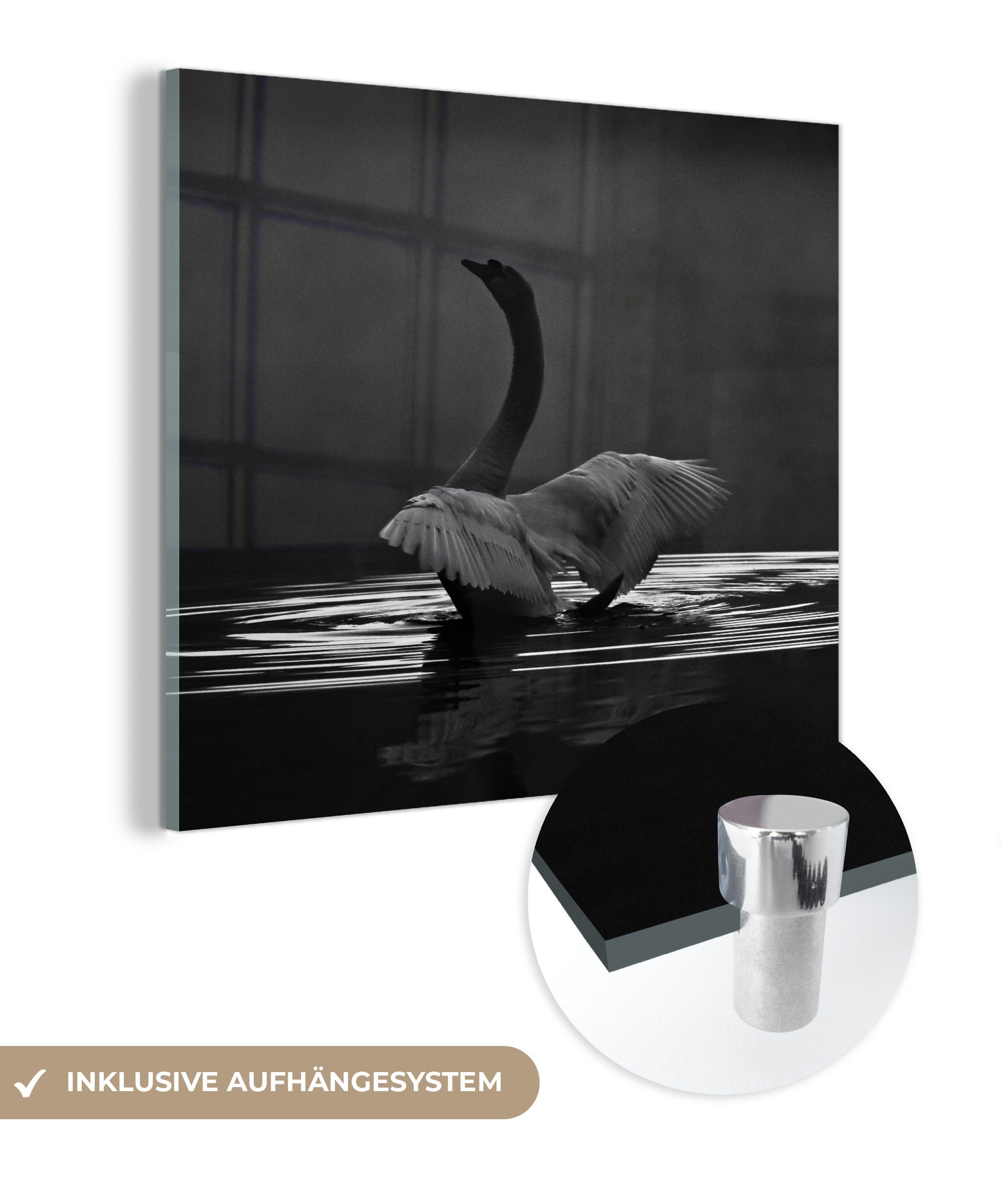 MuchoWow Acrylglasbild Schwan auf dem Wasser, (1 St), Glasbilder - Bilder auf Glas Wandbild - Foto auf Glas - Wanddekoration