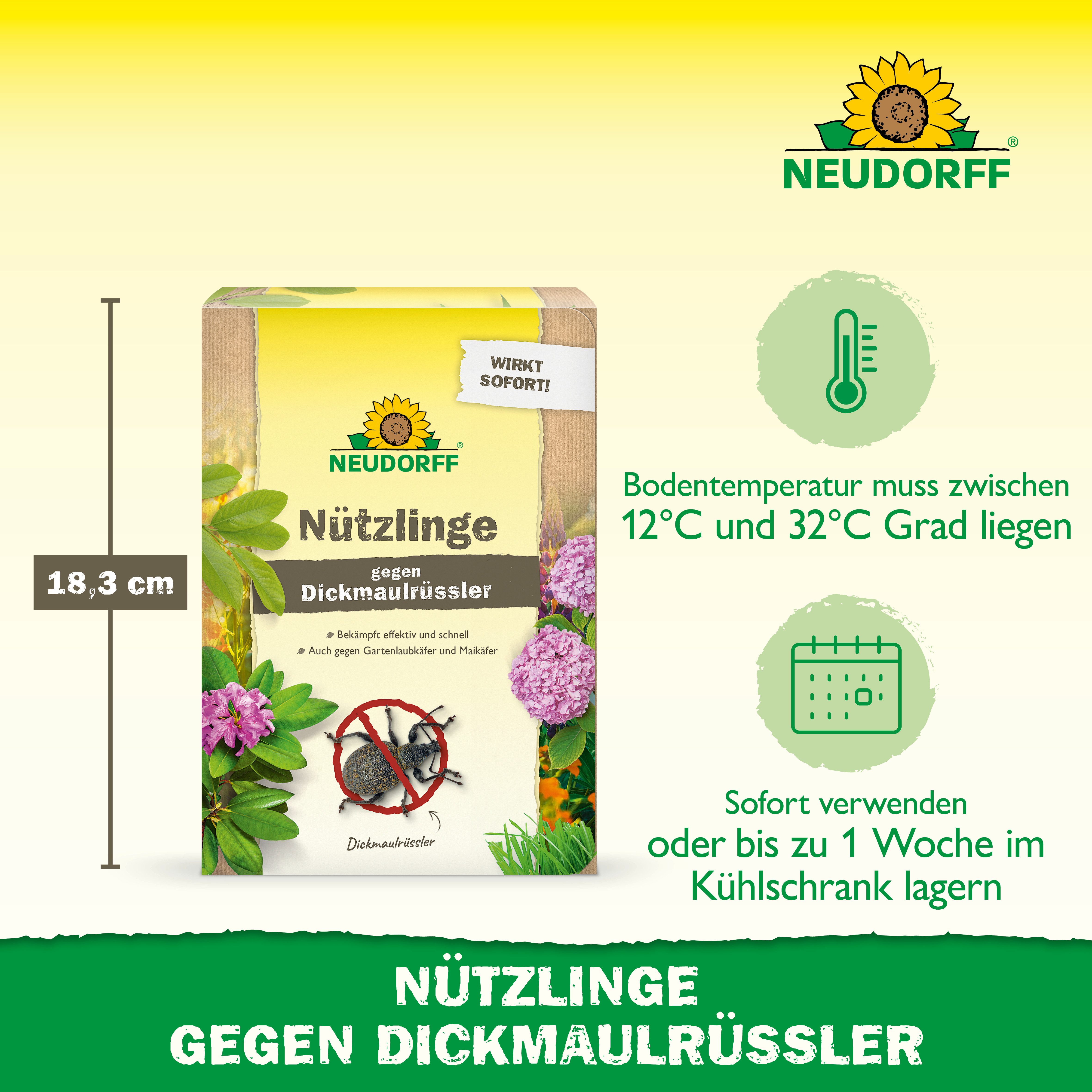 Neudorff Nematoden Nützlinge gegen Dickmaulrüssler und Engerlinge, 50 Mio. HM-Nematoden für bis zu 100 m² – Bild 2 von 5