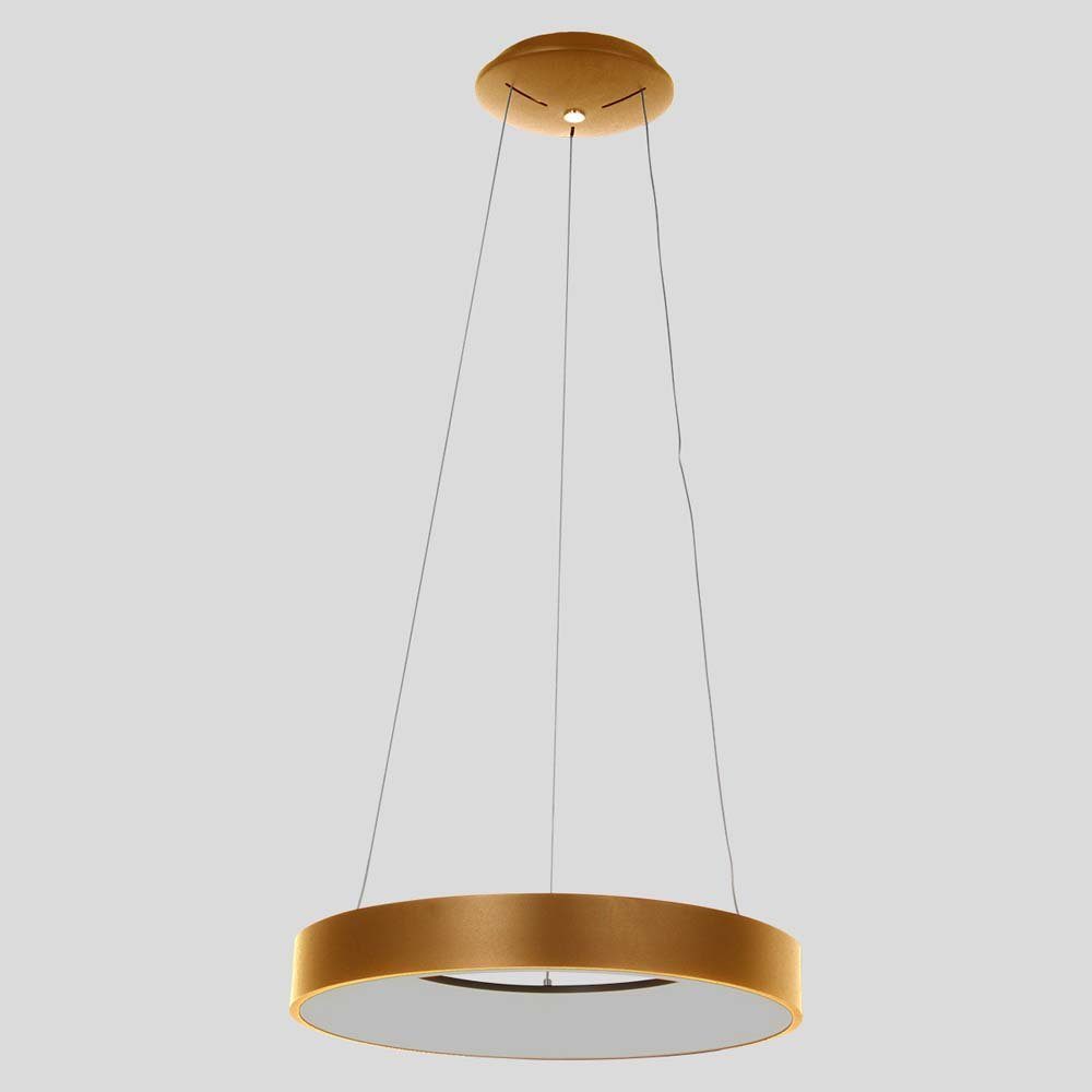 Steinhauer LIGHTING LED-Hängeleuchte, LED-Leuchtmittel fest verbaut, Pendellampe Esstischleuchte Hängelampe gold Wohnzimmerlampe Ring LED H