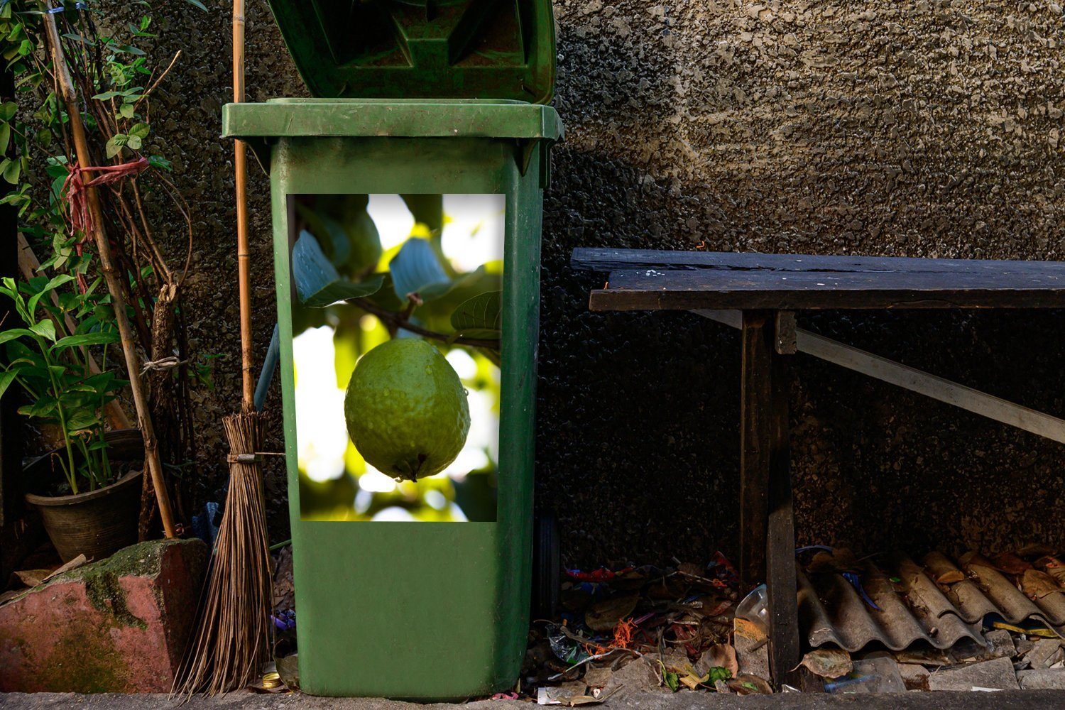 Mülltonne, einer St), Baum dahinter Wandsticker Container, MuchoWow Sticker, Sonnenlicht in einem Mülleimer-aufkleber, Nahaufnahme (1 Guavenfrucht mit Abfalbehälter