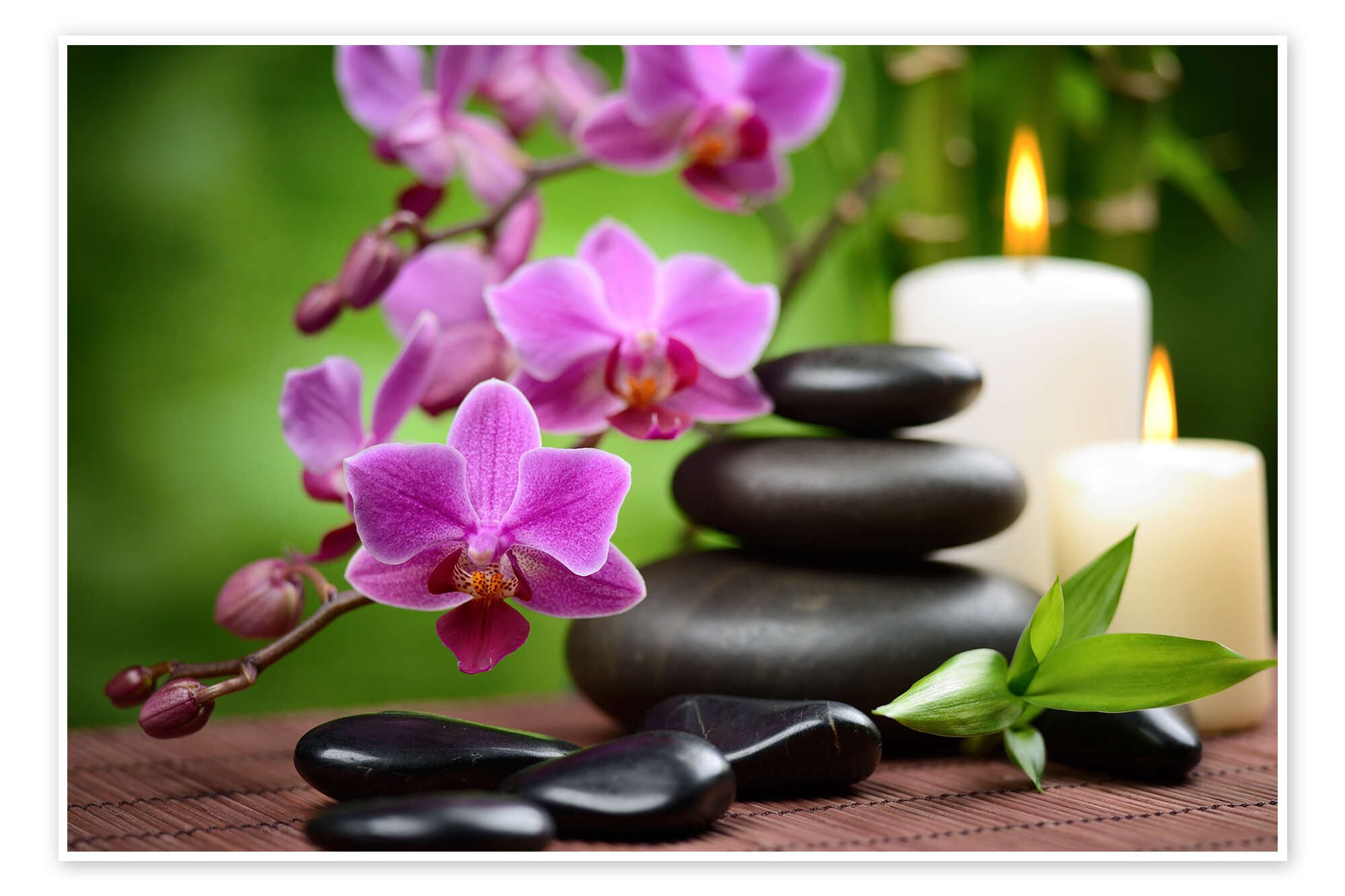 Posterlounge Poster Editors Choice, Wellness-Stillleben mit günstig online kaufen