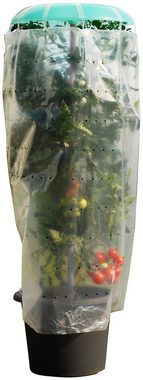 KHW Pflanzenschutzdach Tomatenhut, 3er-Set, inkl. Stab und Schutzfolie, BxH: 49x120 cm