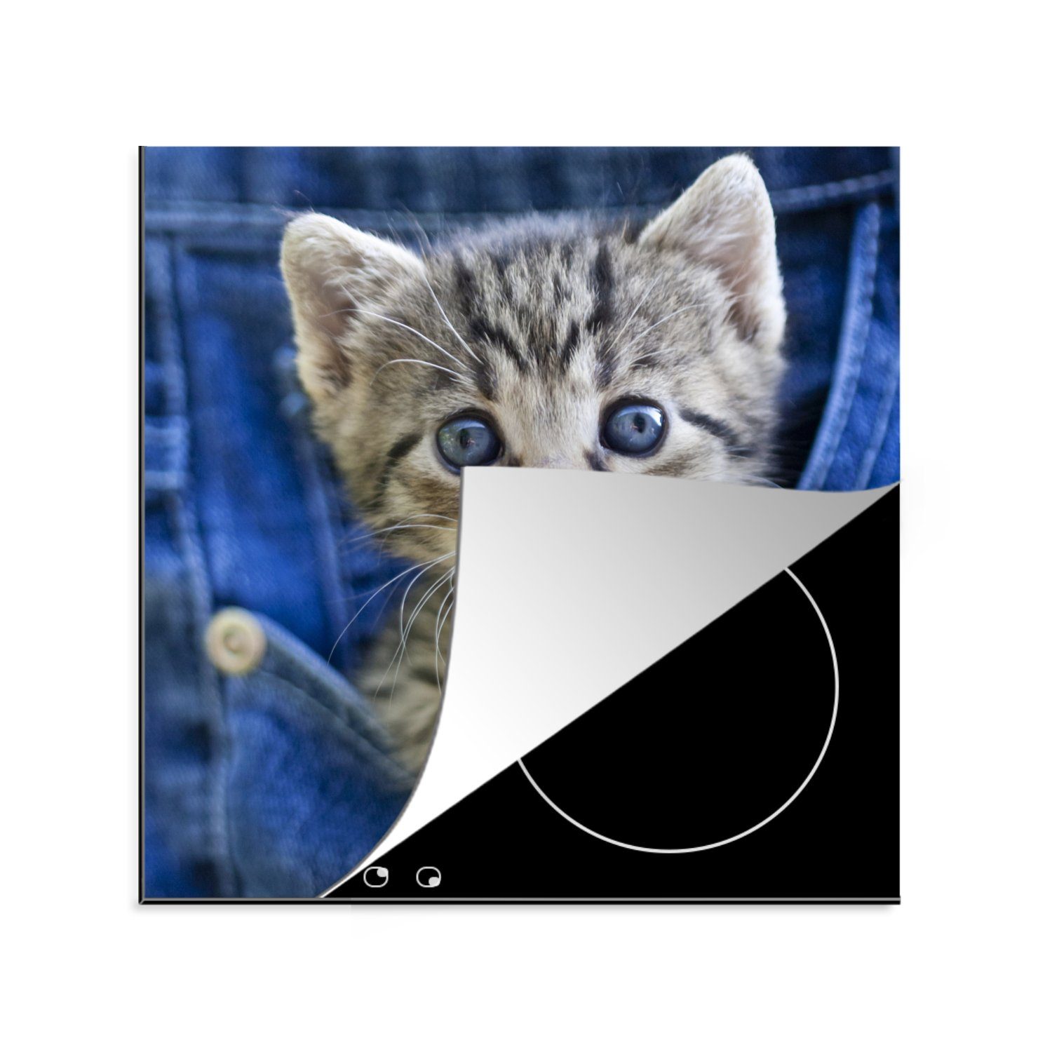 MuchoWow Herdblende-/Abdeckplatte Ein Kätzchen in Denim-Jeans, Vinyl, (1 tlg), 78x78 cm, Ceranfeldabdeckung, Arbeitsplatte für küche