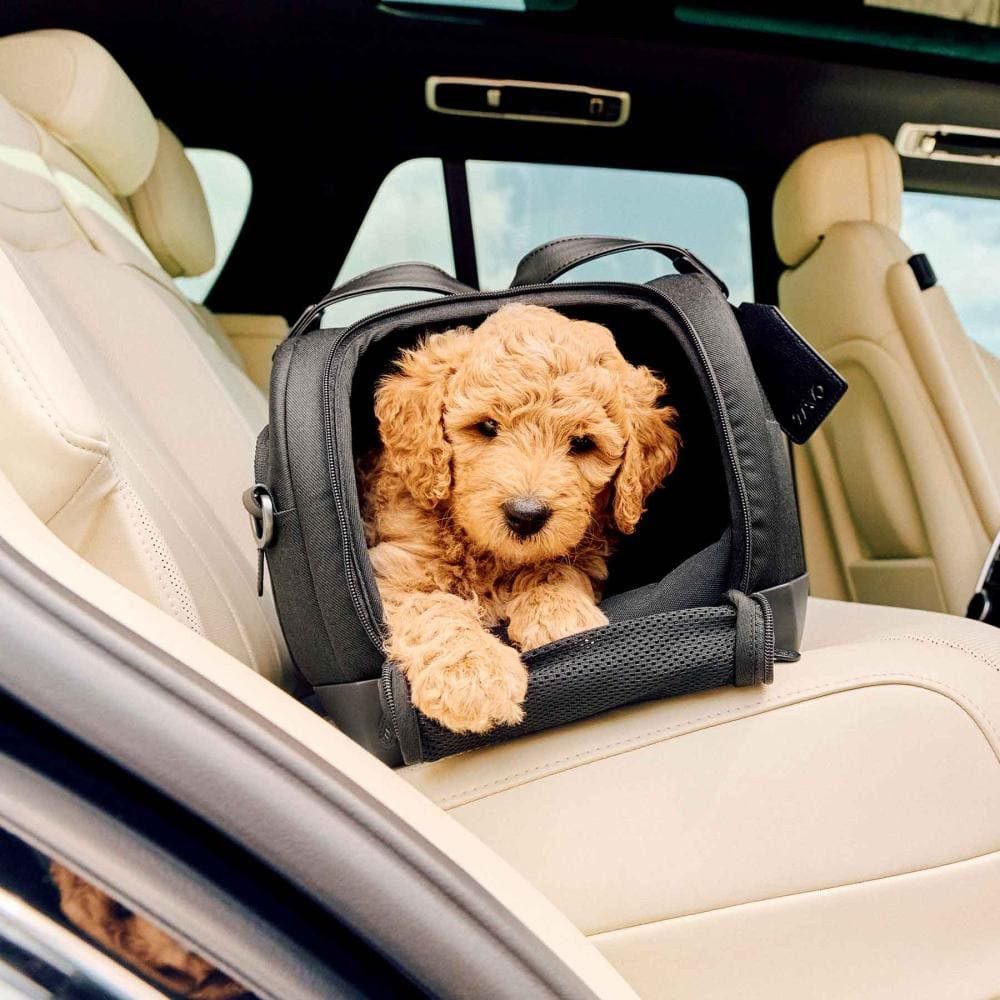 Tavo Hunde-Transportbox Dupree II Tiertransporttasche