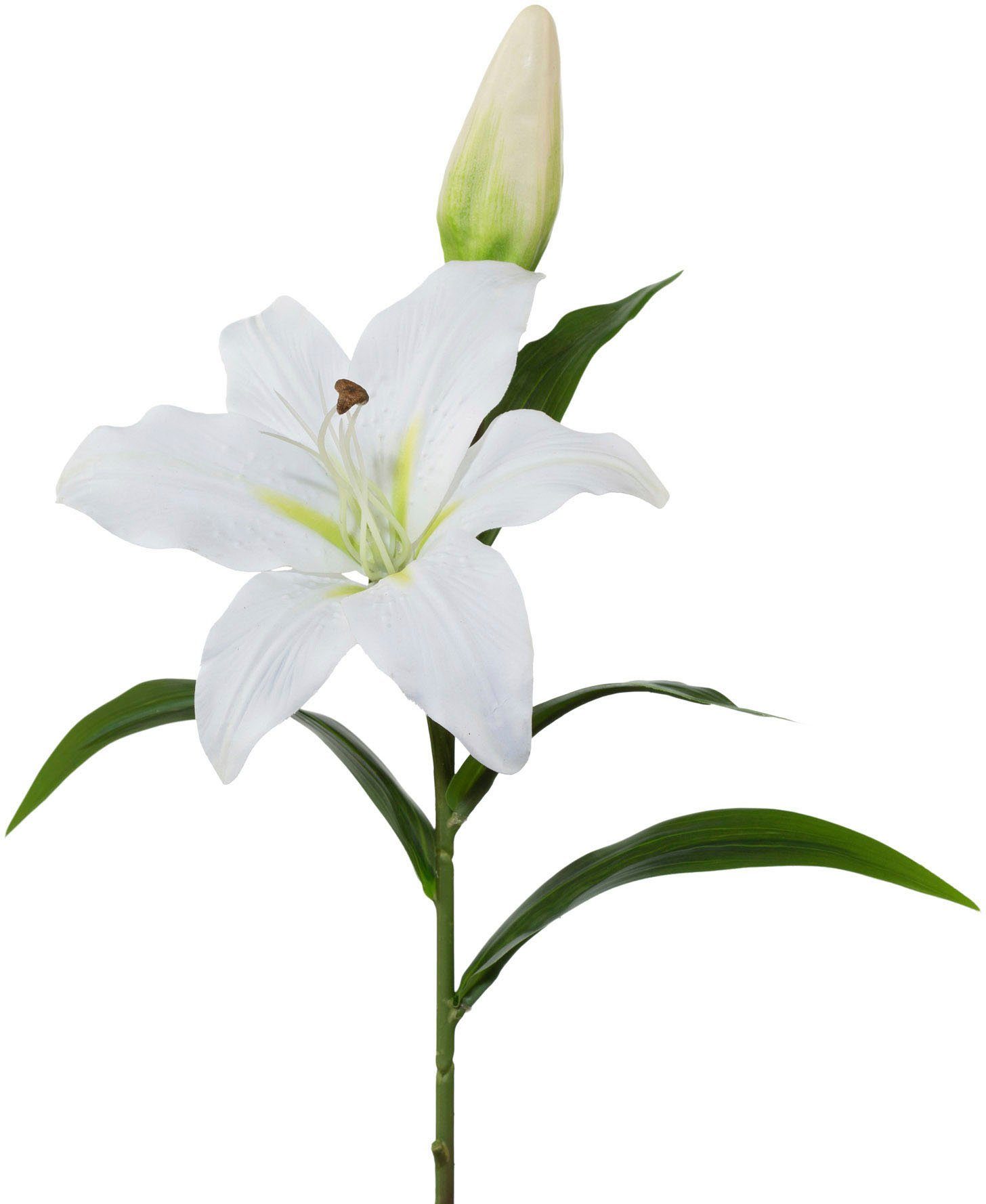 Kunstblume, Creativ green, Höhe 50 cm, 3er-Set günstig online kaufen