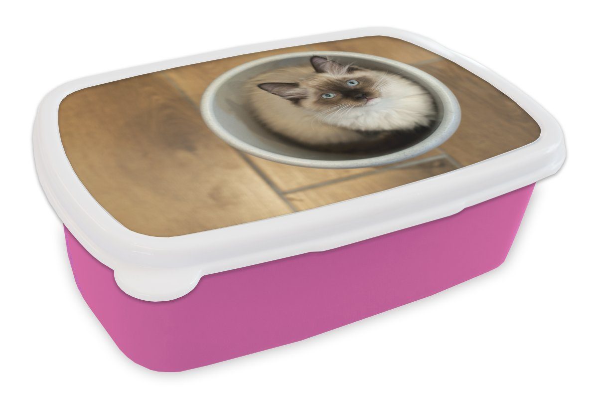 MuchoWow Lunchbox Eine Erwachsene, Kunststoff einem Brotbox Kunststoff, Ragdoll-Katze Plastikeimer, Mädchen, für in rosa Brotdose Kinder, Snackbox, (2-tlg)