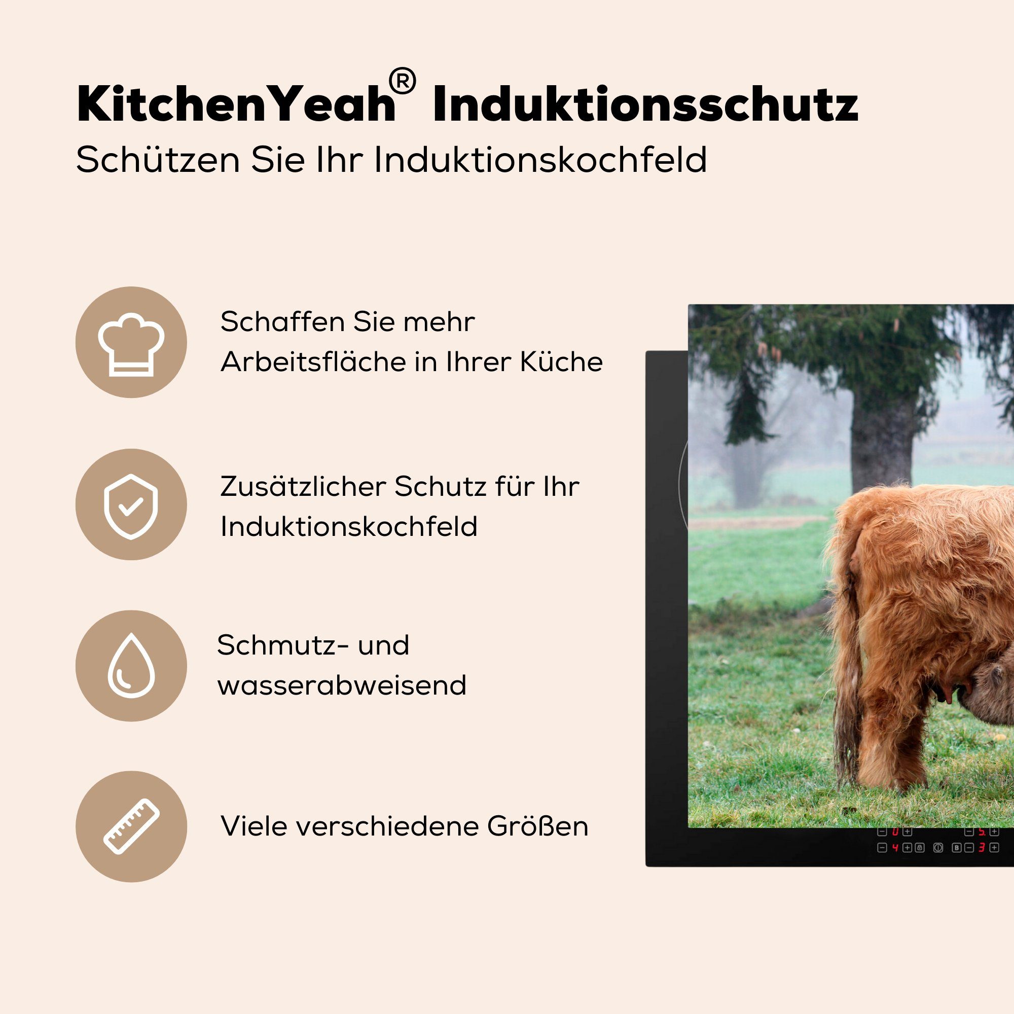 küche, Highlander Kuh, MuchoWow Induktionskochfeld Schutz - Schottischer Vinyl, cm, (1 für Kalb die tlg), 81x52 - Ceranfeldabdeckung Herdblende-/Abdeckplatte
