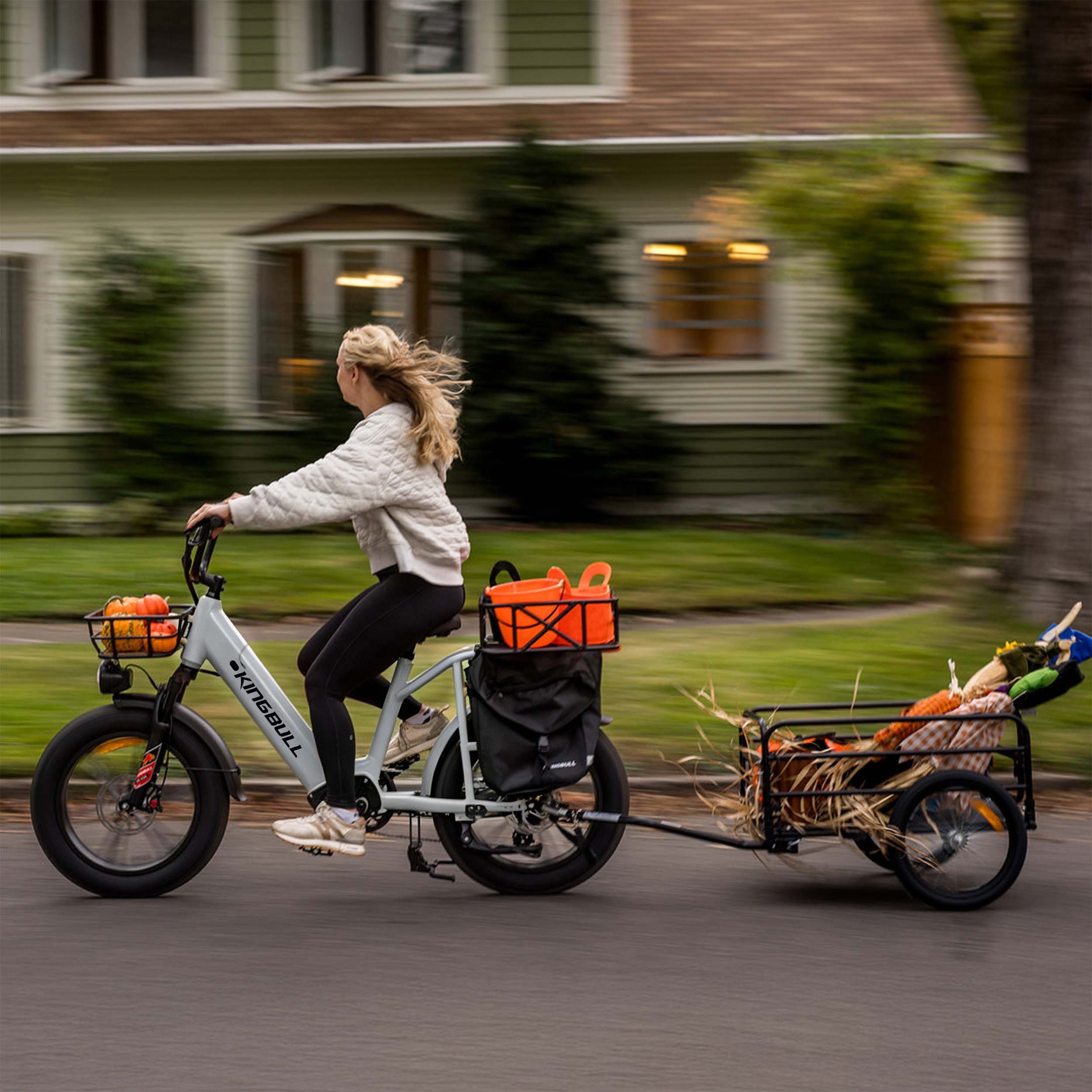 Vankel E-Bike Cityrad Cargo Damen u. Herren 20"x4" 960Wh 48V, max.100km Hydraulikbremsen, Kettenschaltung, Heckmotor, 960 Wh, (Beleuchtungsset mit Batterieladegerät, Batterieschlüssel, Werkzeug), Lasten-Elektrofahrrad mit Fat-Reifen, großem Transportträger