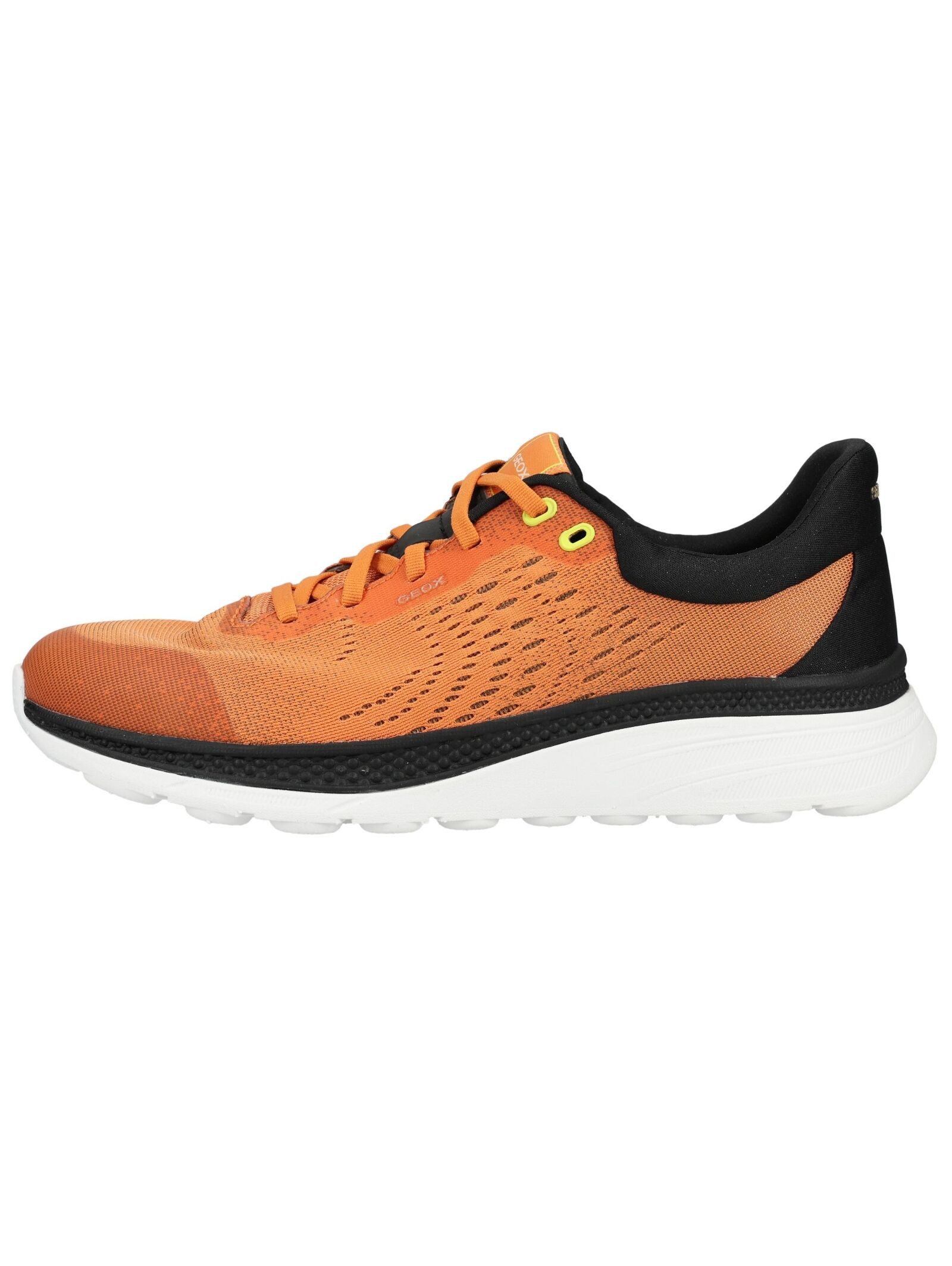 Geox Geox Sneaker Textil Sneaker