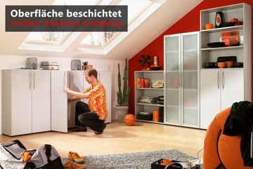 bümö Aktenschrank basic Büroschrank - 5 Ordnerhöhen Dekor: Ahorn/Silber