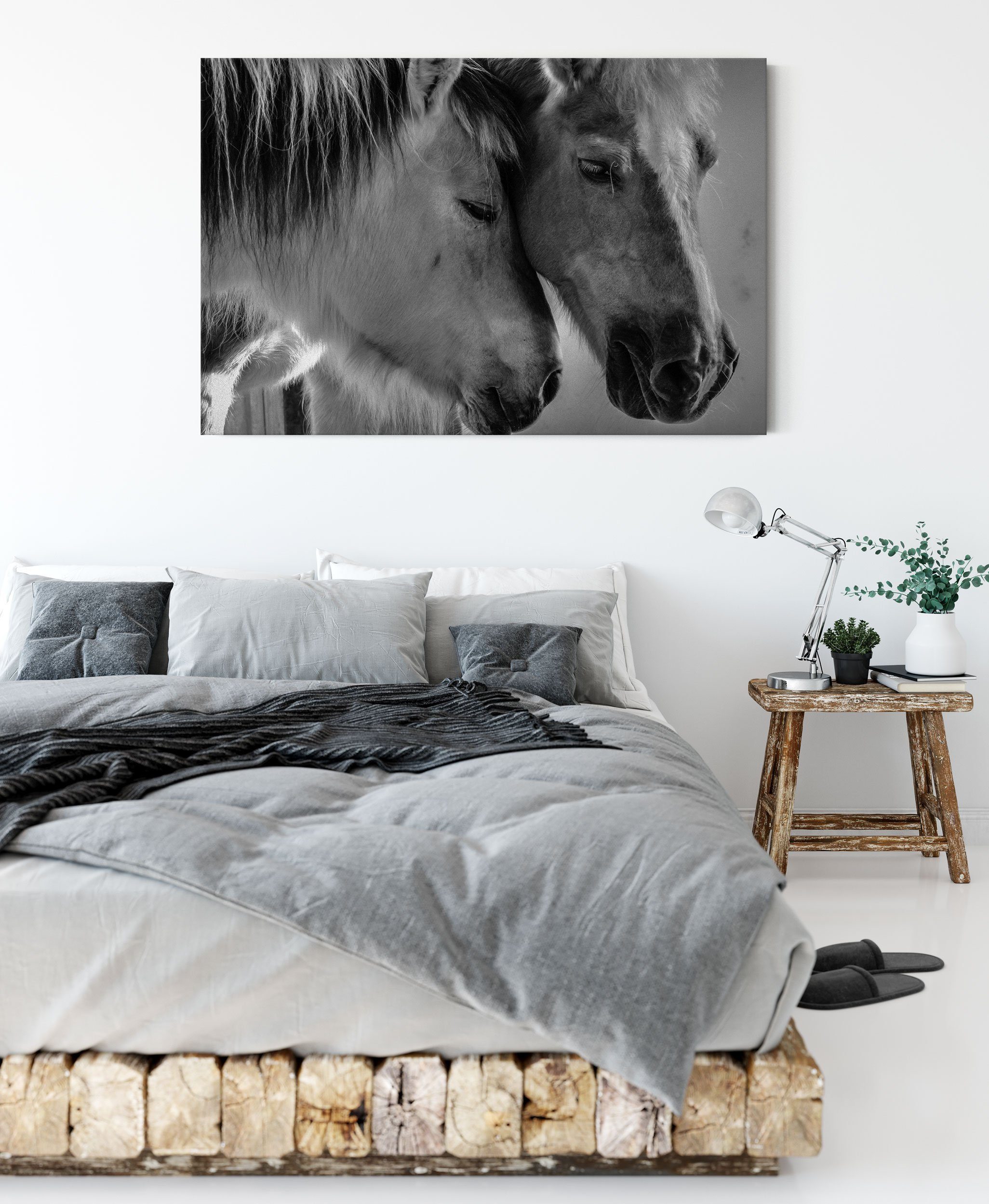(1 bespannt, Zackenaufhänger zwei fertig Pferde, Leinwandbild St), Leinwandbild Pixxprint liebevolle zwei inkl. Pferde liebevolle