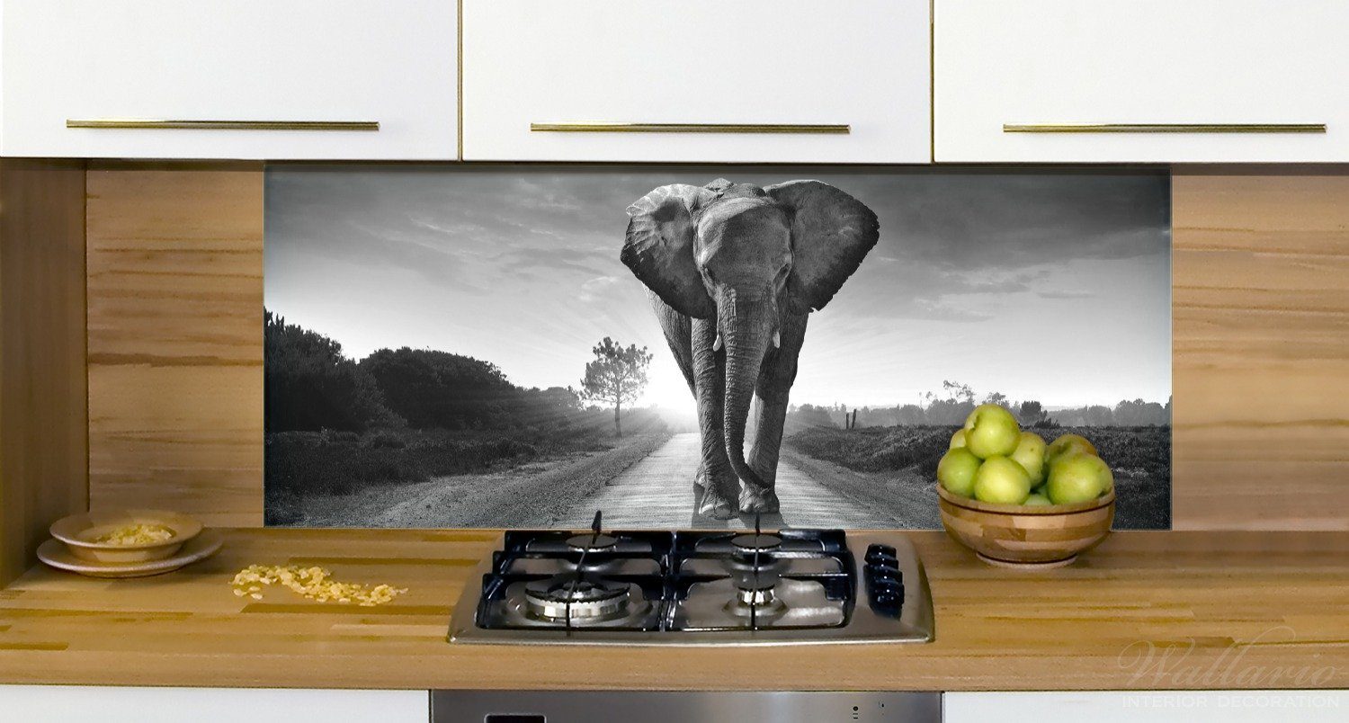 in Elefant Wallario schwarzweiß, (1-tlg) bei Afrika Sonnenaufgang Küchenrückwand