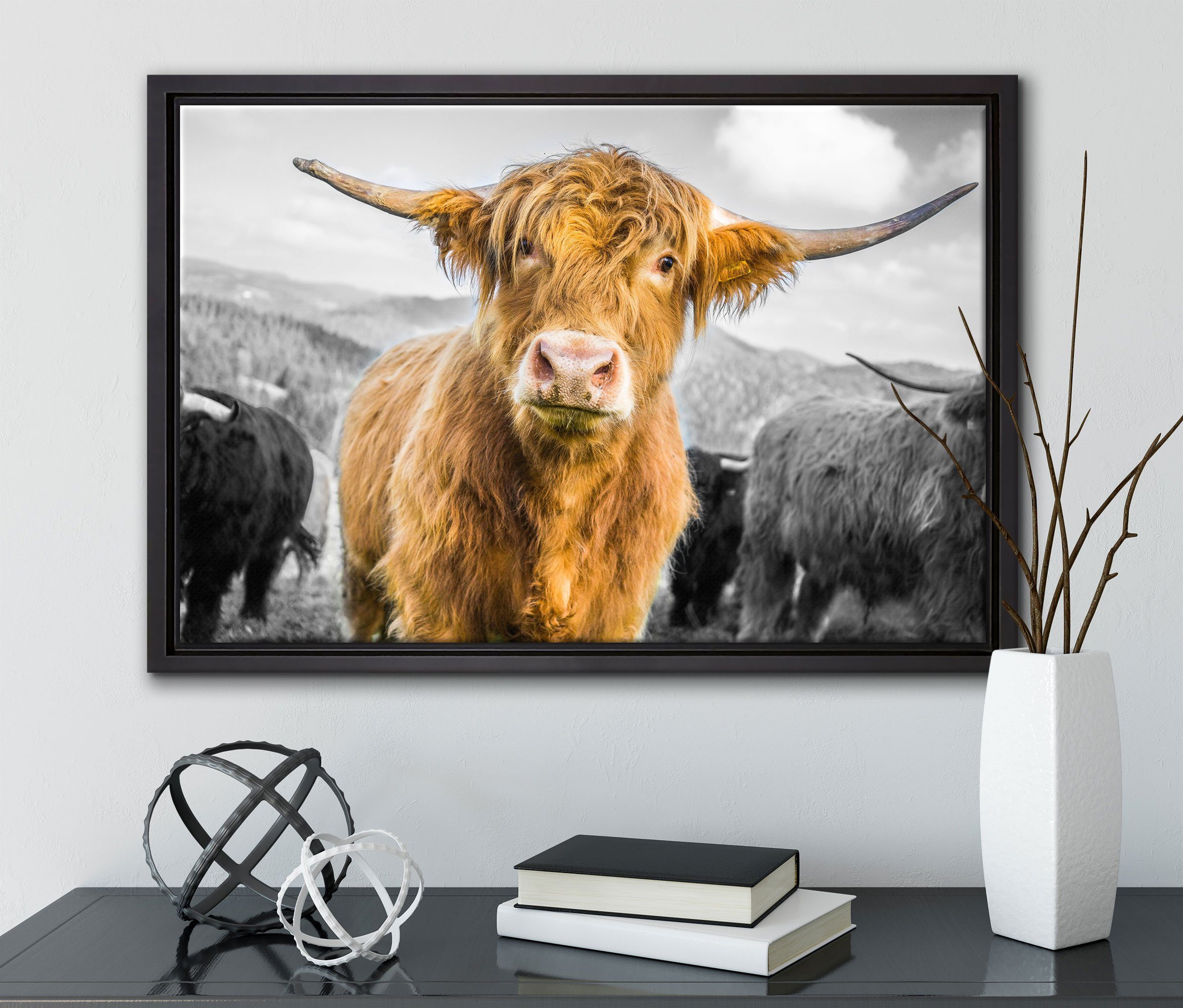 Weide, einem in Leinwandbild einer Schattenfugen-Bilderrahmen Wanddekoration an Kuh der Leinwandbild Blick Pixxprint bespannt, St), fertig (1 inkl. gefasst, Zackenaufhänger