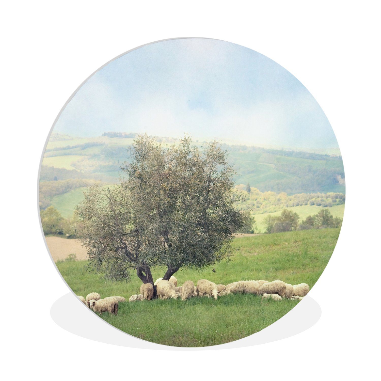 Gemälde Eine Gruppe von Schafen in der Nähe eines Olivenbaums