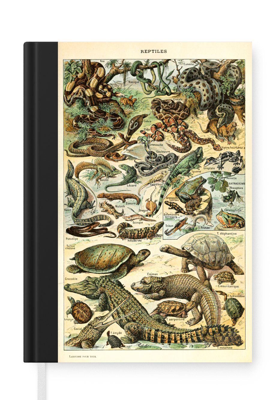 MuchoWow Notizbuch Reptilien - Tiere - Natur, Journal, Merkzettel, Tagebuch, Notizheft, A5, 98 Seiten, Haushaltsbuch