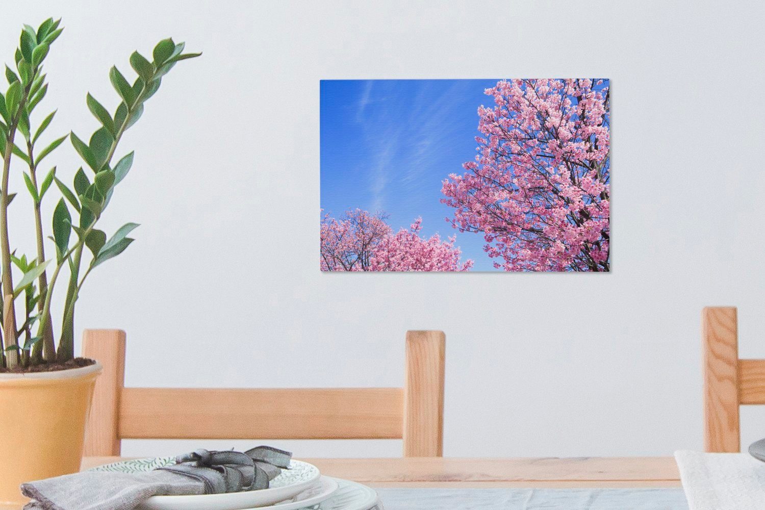 30x20 Leinwandbilder, Kirschblüte Himmel, cm (1 Leinwandbild OneMillionCanvasses® Wanddeko, Wandbild blauen Aufhängefertig, St), gegen