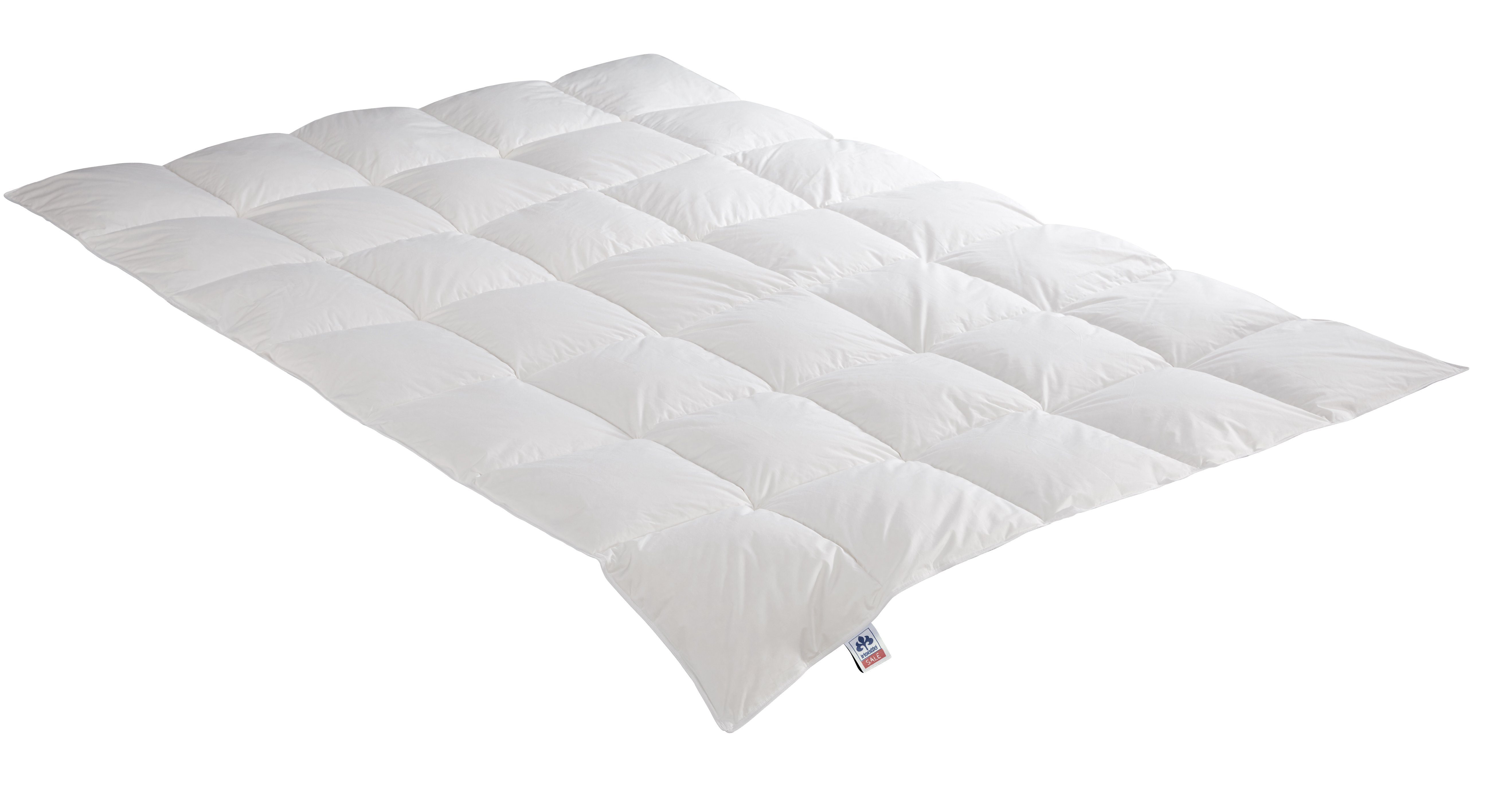 Irisette Sale Daunenbettdecke Daunendecke Nora, Füllung: 100% Daunen, Bezug günstig online kaufen