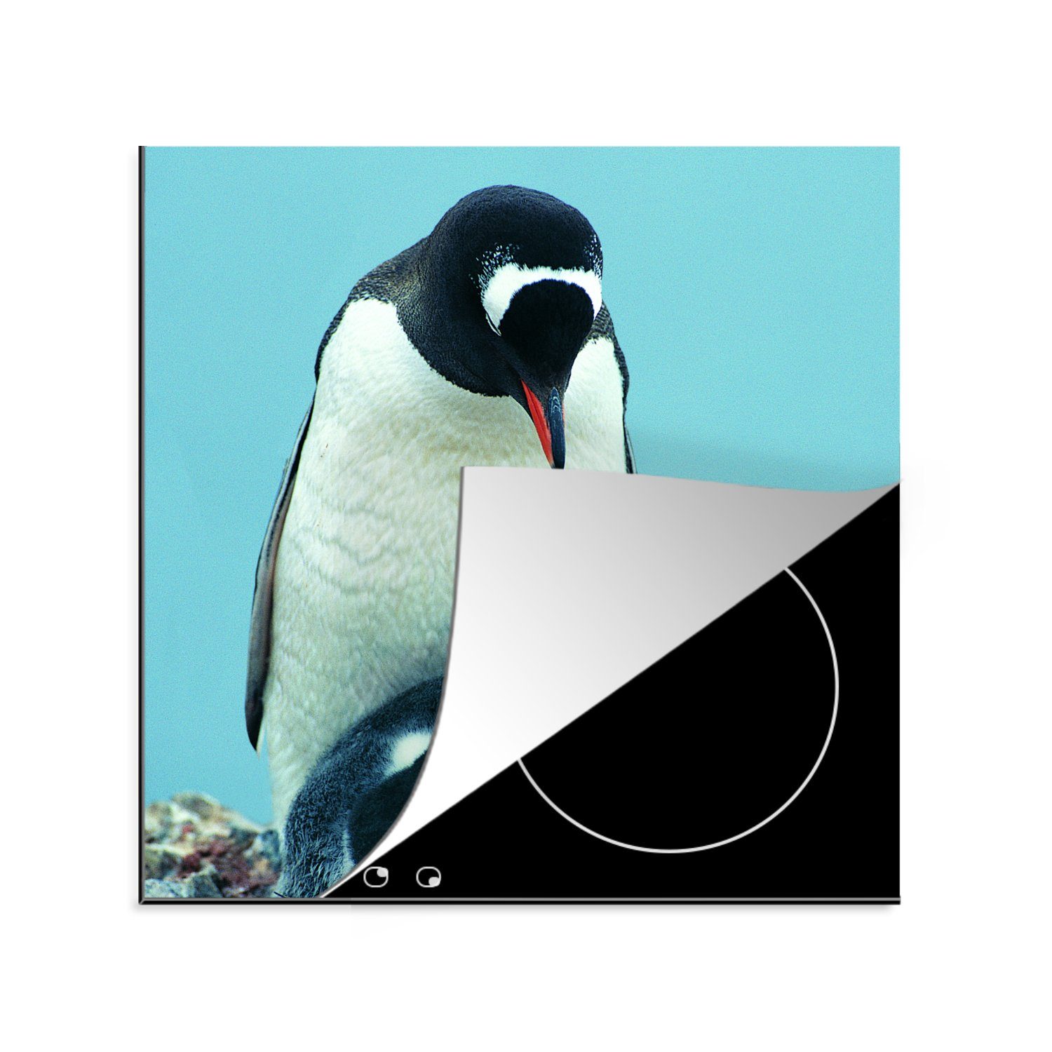 MuchoWow Küken, - Vinyl, Ceranfeldabdeckung, tlg), 78x78 küche Herdblende-/Abdeckplatte Tiere für (1 Pinguine - Arbeitsplatte cm,