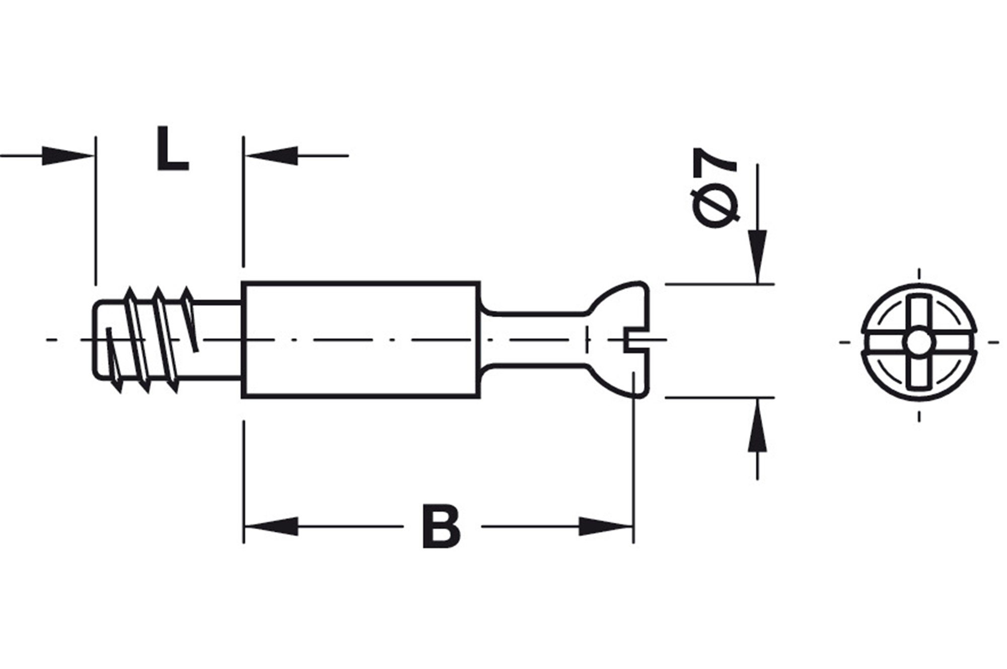 Häfele Befestigungsanker Exzenterbolzen Minifix Verbindungsbolzen S100 Bohrloch-Ø5mm, (4-tlg)