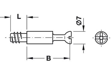 Häfele Befestigungsanker Exzenterbolzen Minifix Verbindungsbolzen S100 Bohrloch-Ø5mm, (4-tlg)