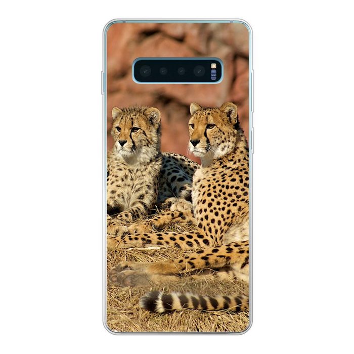 MuchoWow Handyhülle Gepardenmutter und -junge Phone Case Handyhülle Samsung Galaxy S10 Lite Silikon Schutzhülle