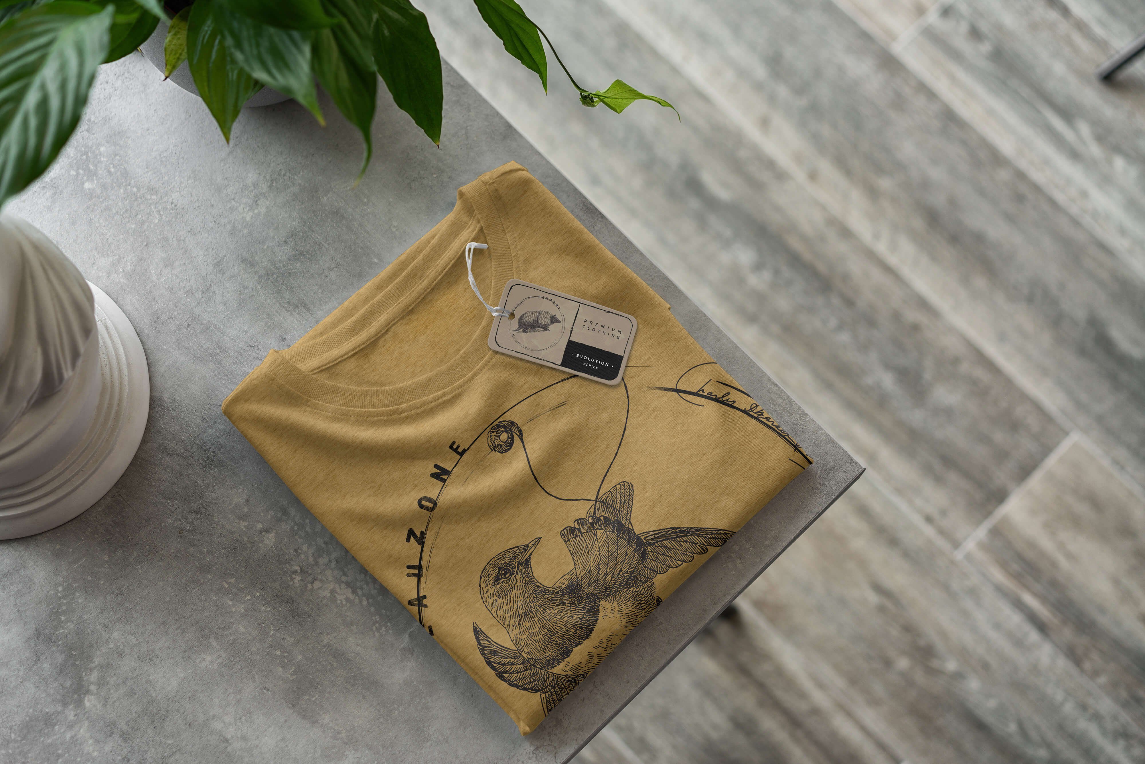 Sinus T-Shirt Antique Herren Evolution Paradiesvogel T-Shirt Gold Art