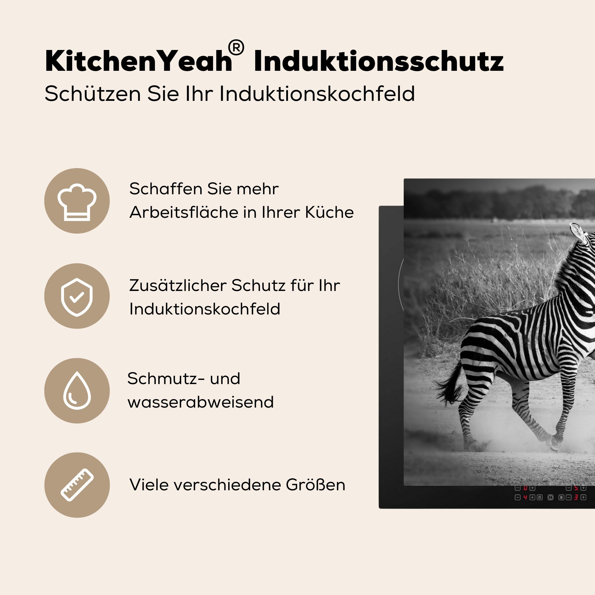 tlg), MuchoWow Zebras, Ceranfeldabdeckung Mobile Kämpfende cm, Arbeitsfläche nutzbar, 70x52 Vinyl, Herdblende-/Abdeckplatte (1