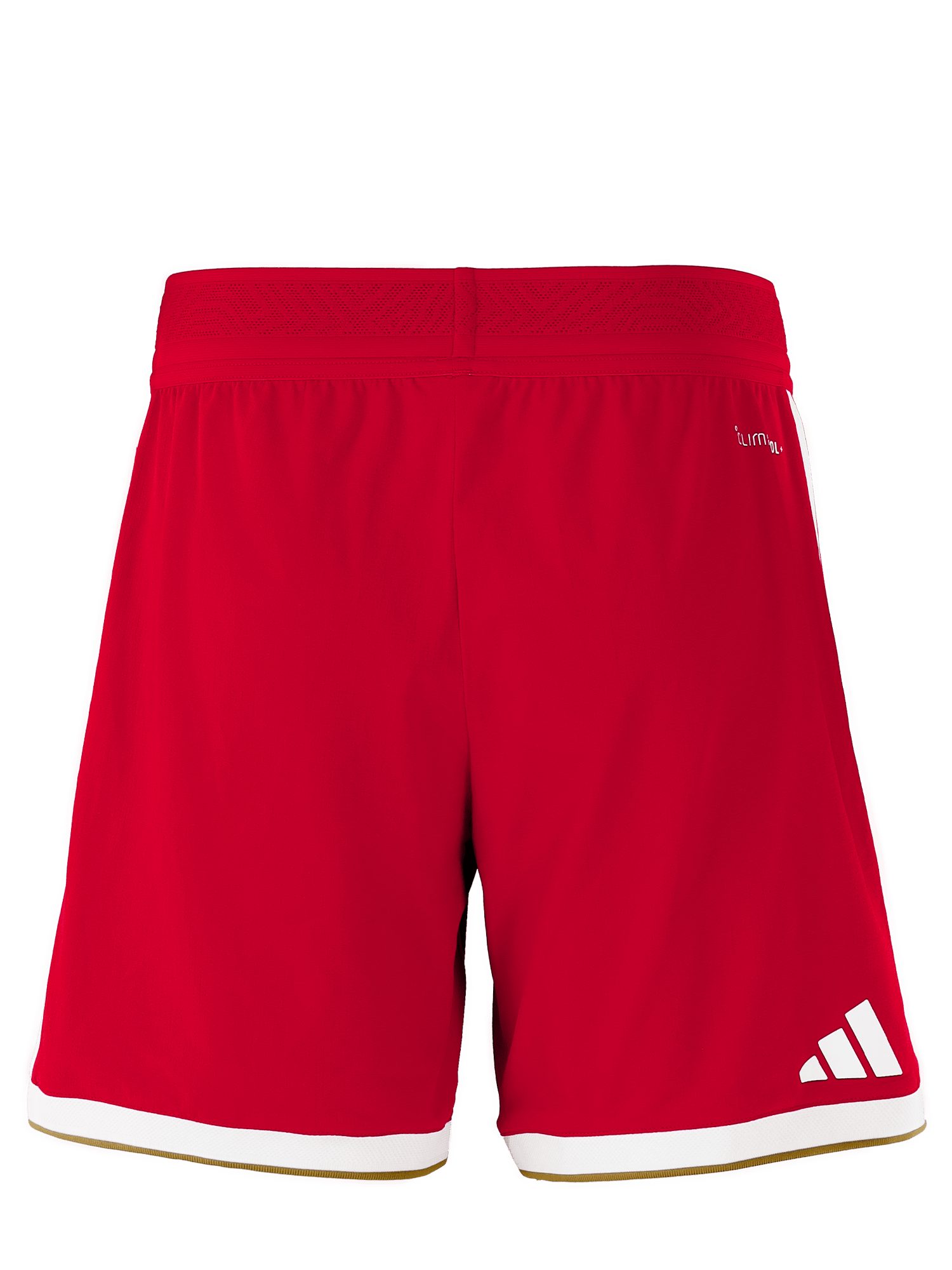 adidas Performance Shorts FC Bayern München I Frauenfußball Authentic Short Home 26-27 I Damen